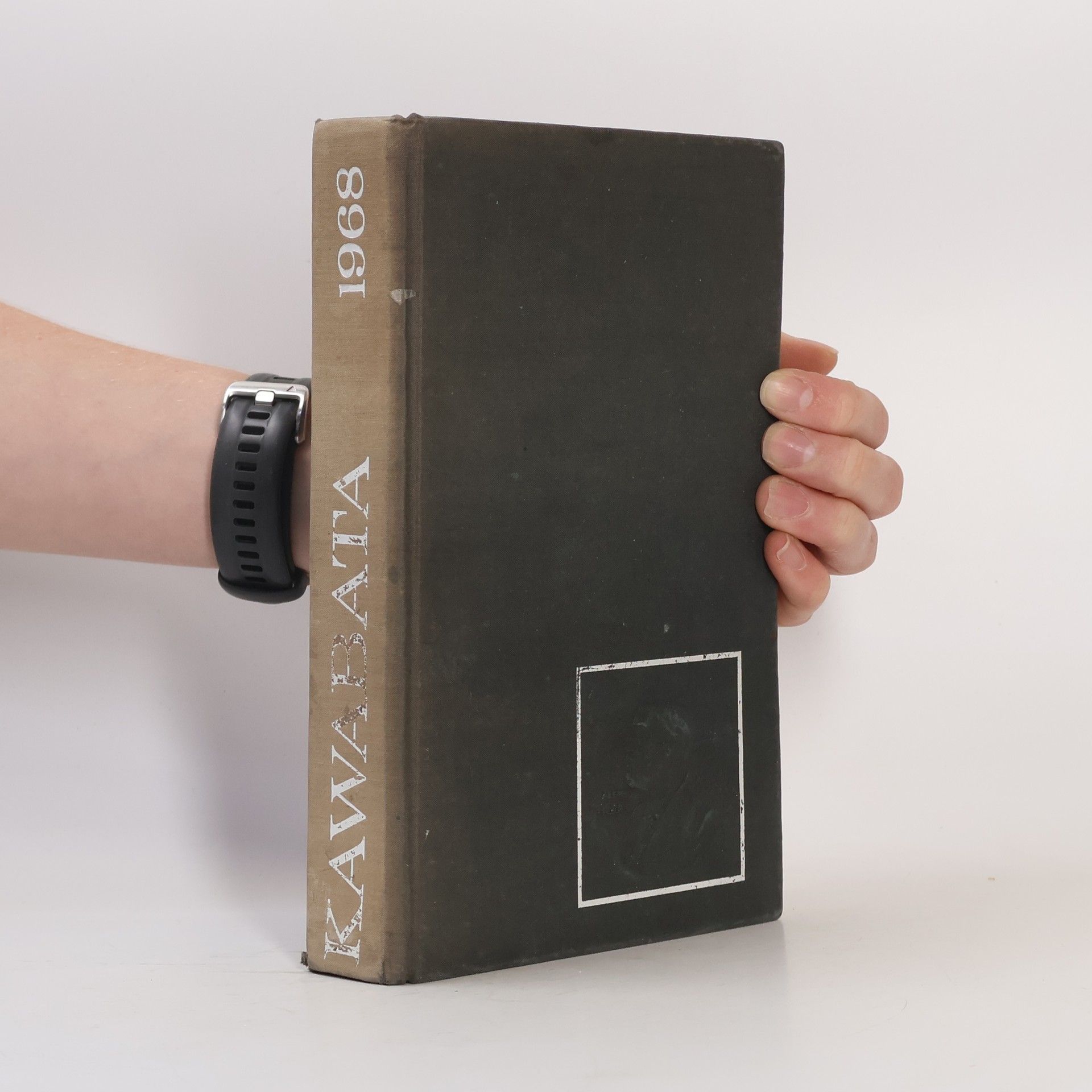 Jasunari Kawabata Spiace krásavice