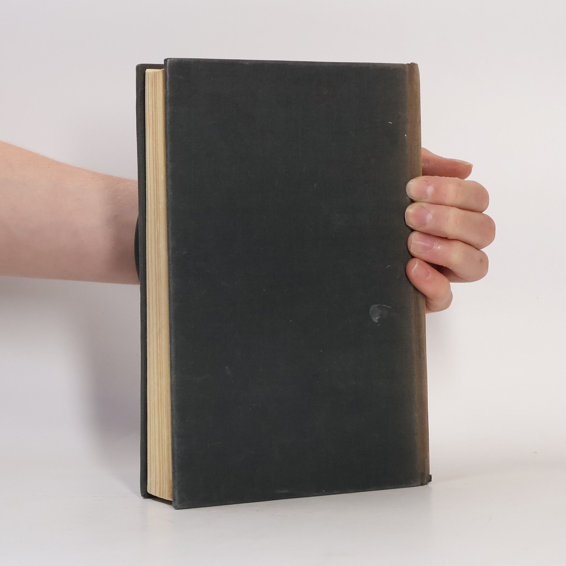 Yasunari Kawabata Spiace krásavice