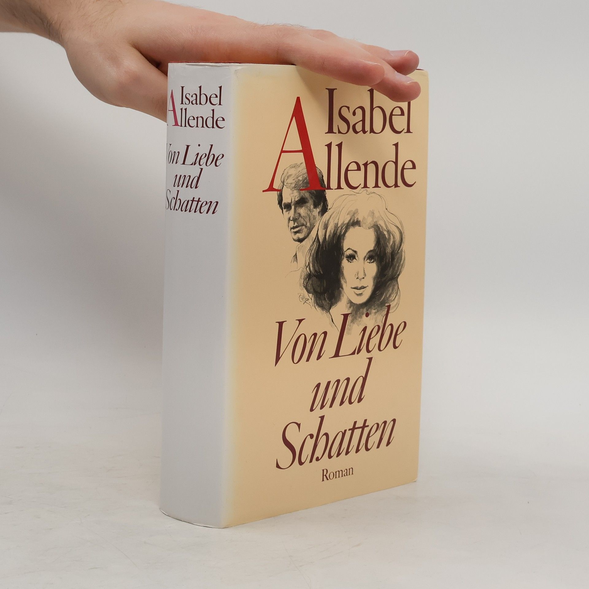 Isabel Allende Von Liebe und Schatten