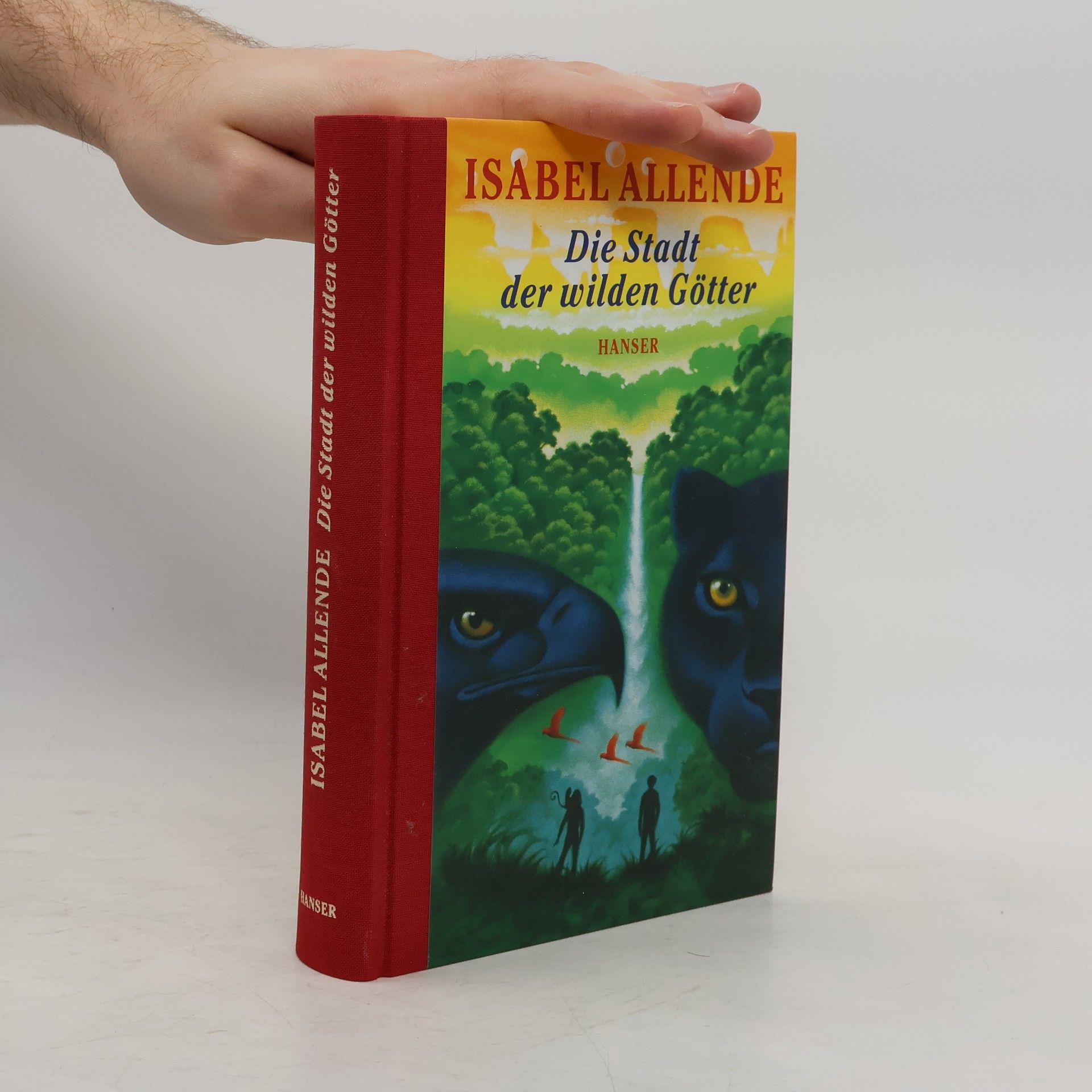 Isabel Allende Die Stadt der wilden Götter