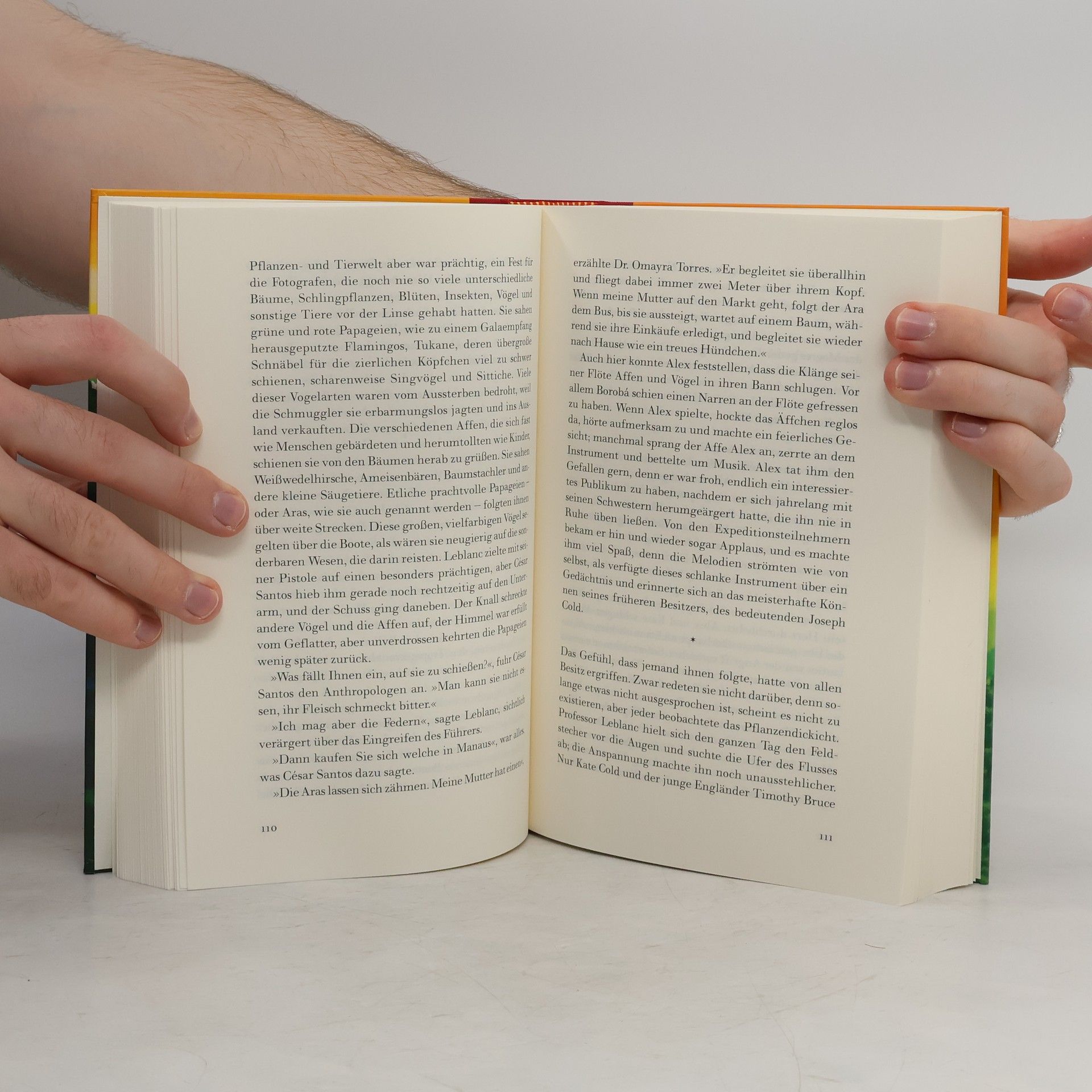 Isabel Allende Die Stadt der wilden Götter