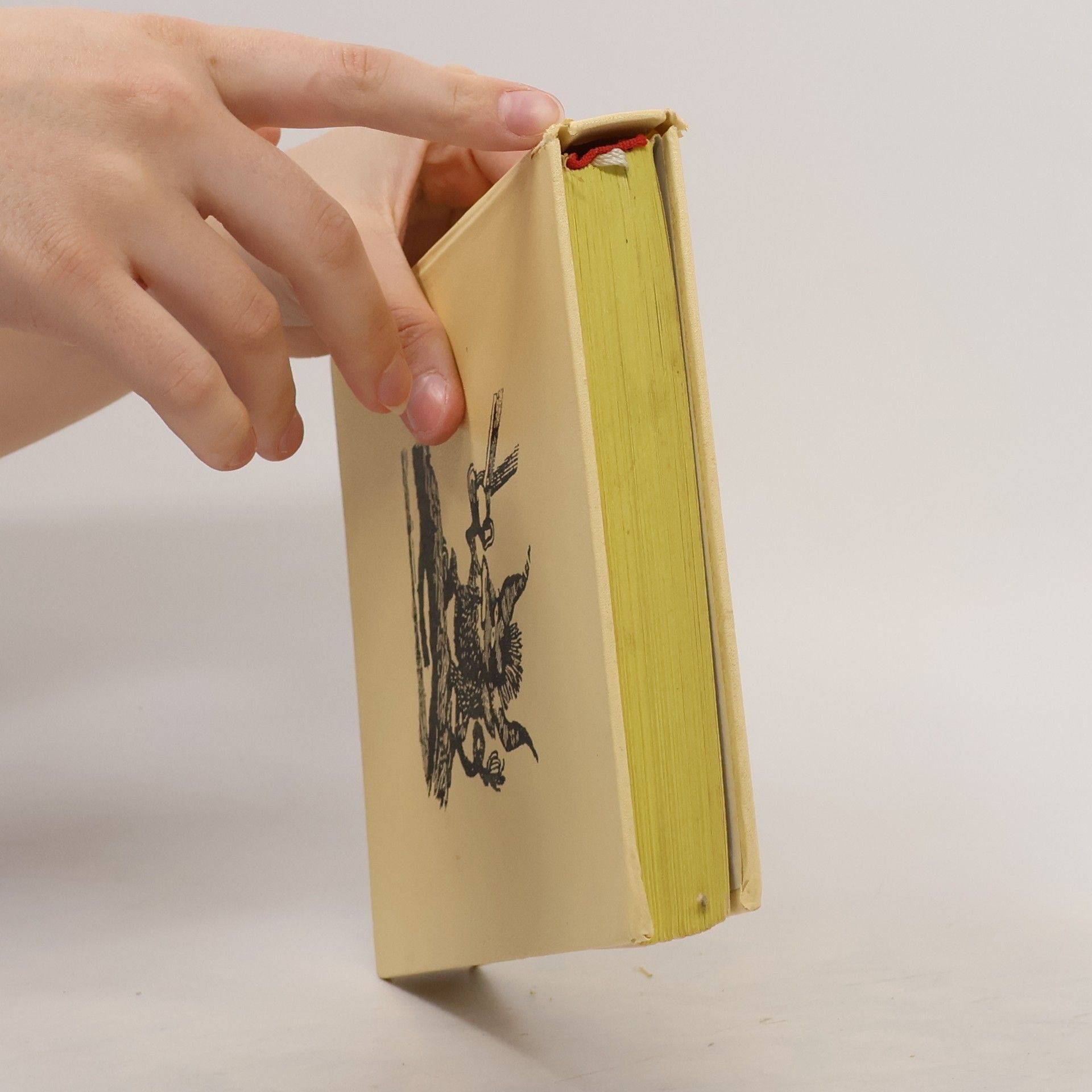 Jacob Grimm Pohádky bratří Grimmů