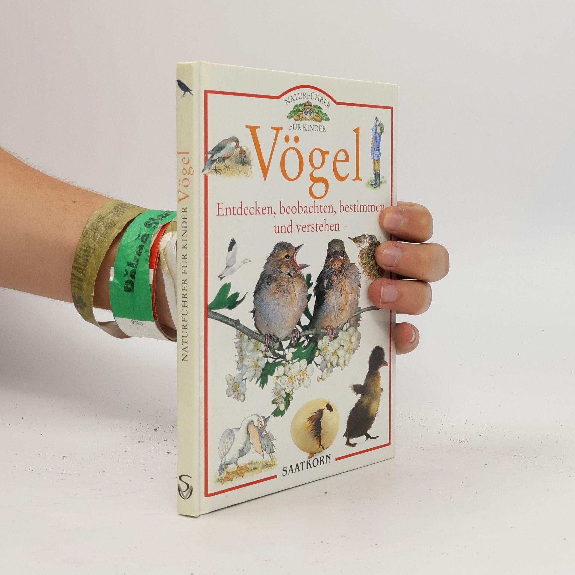 Naturführer für Kinder: Vögel