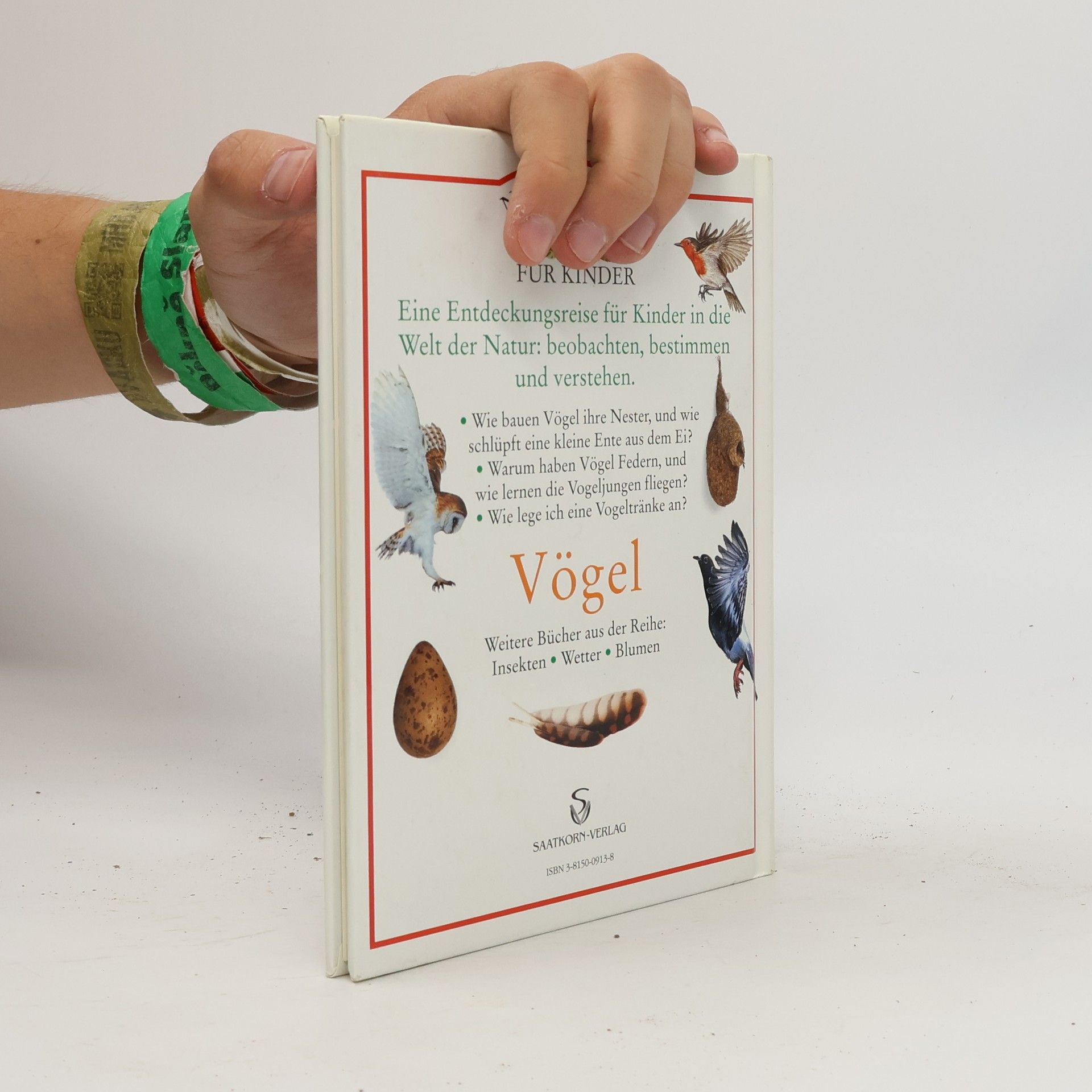 Jill Bailey Naturführer für Kinder: Vögel