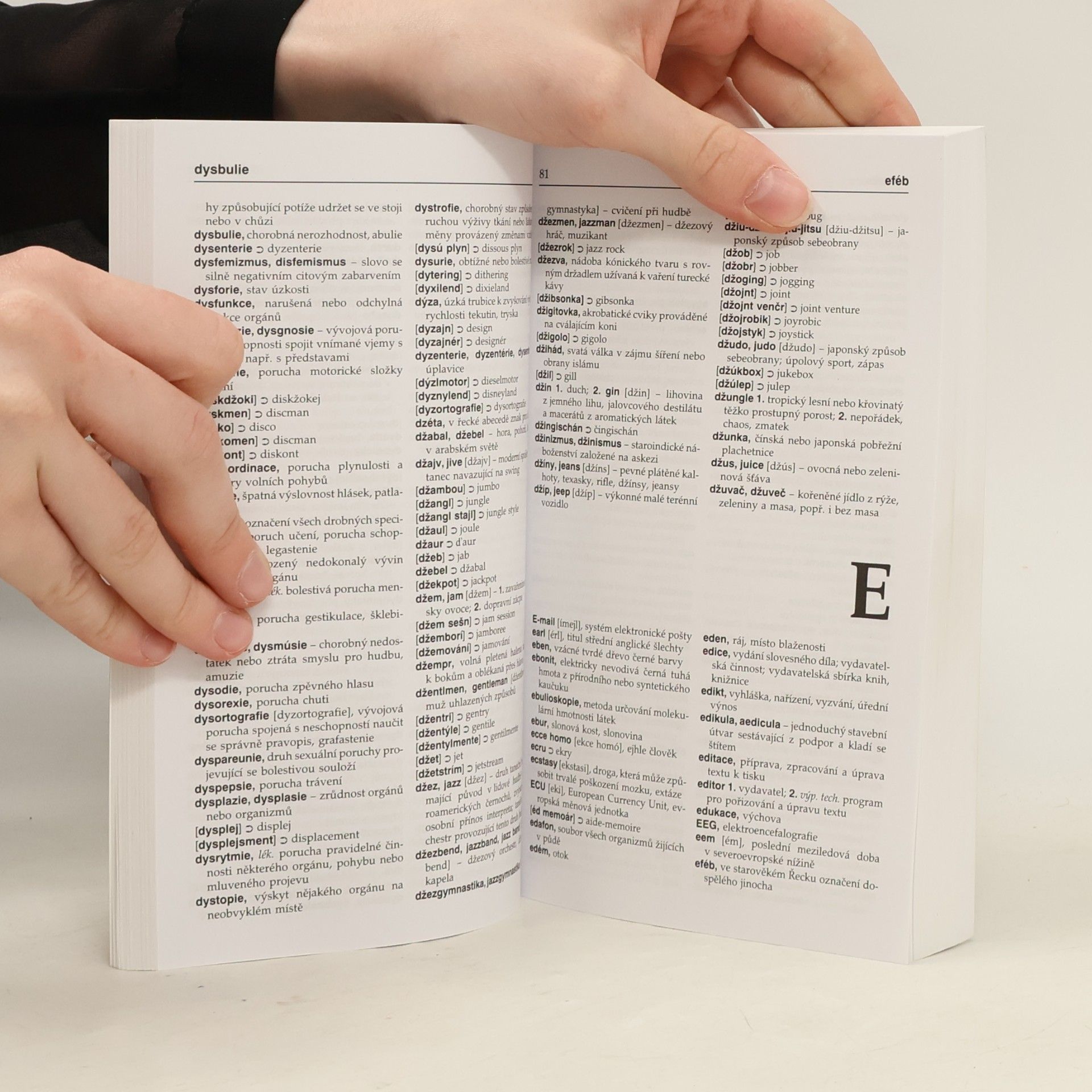 Autores varios Slovník cizích slov