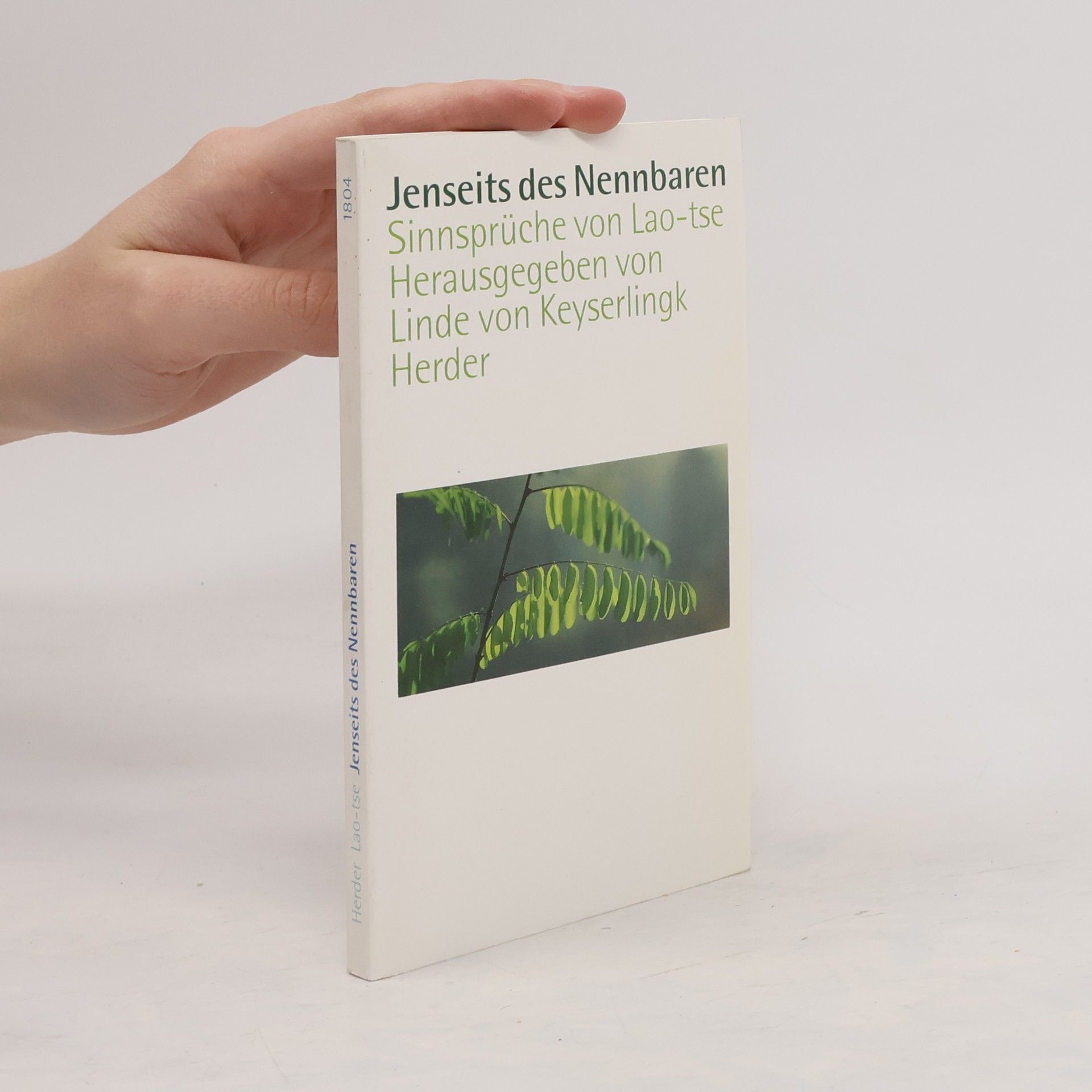 Lao Zi Jenseits des Nennbaren