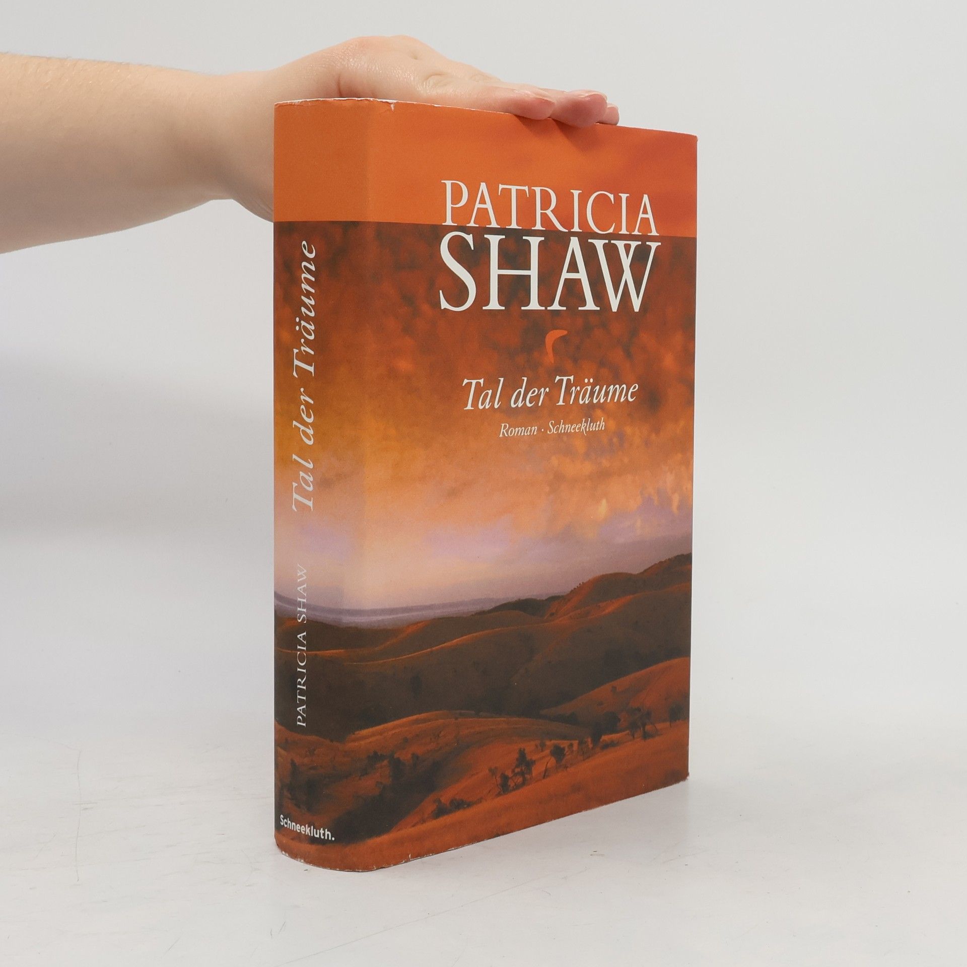Patricia Shaw Tal der Träume