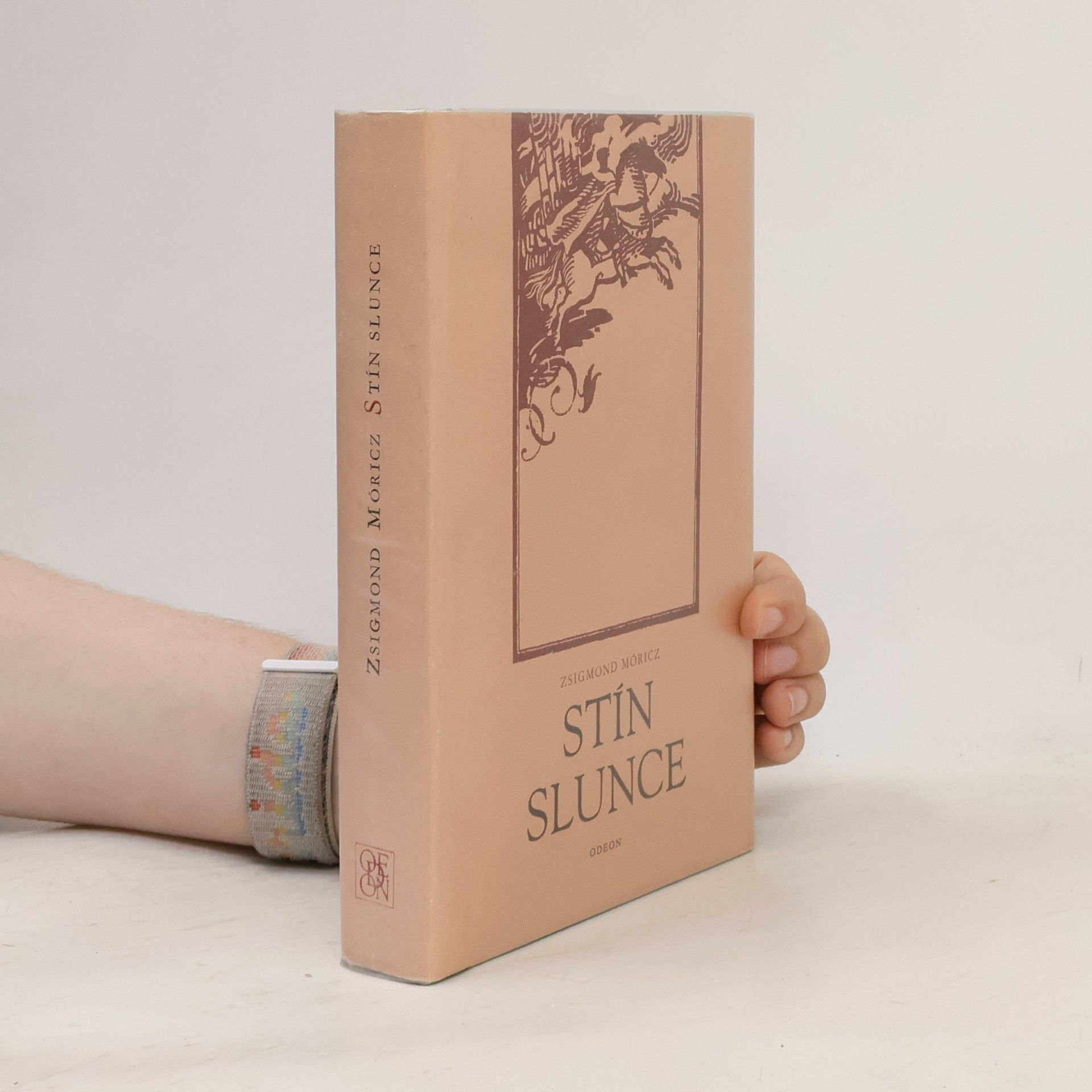 Anna Valentová Stín slunce