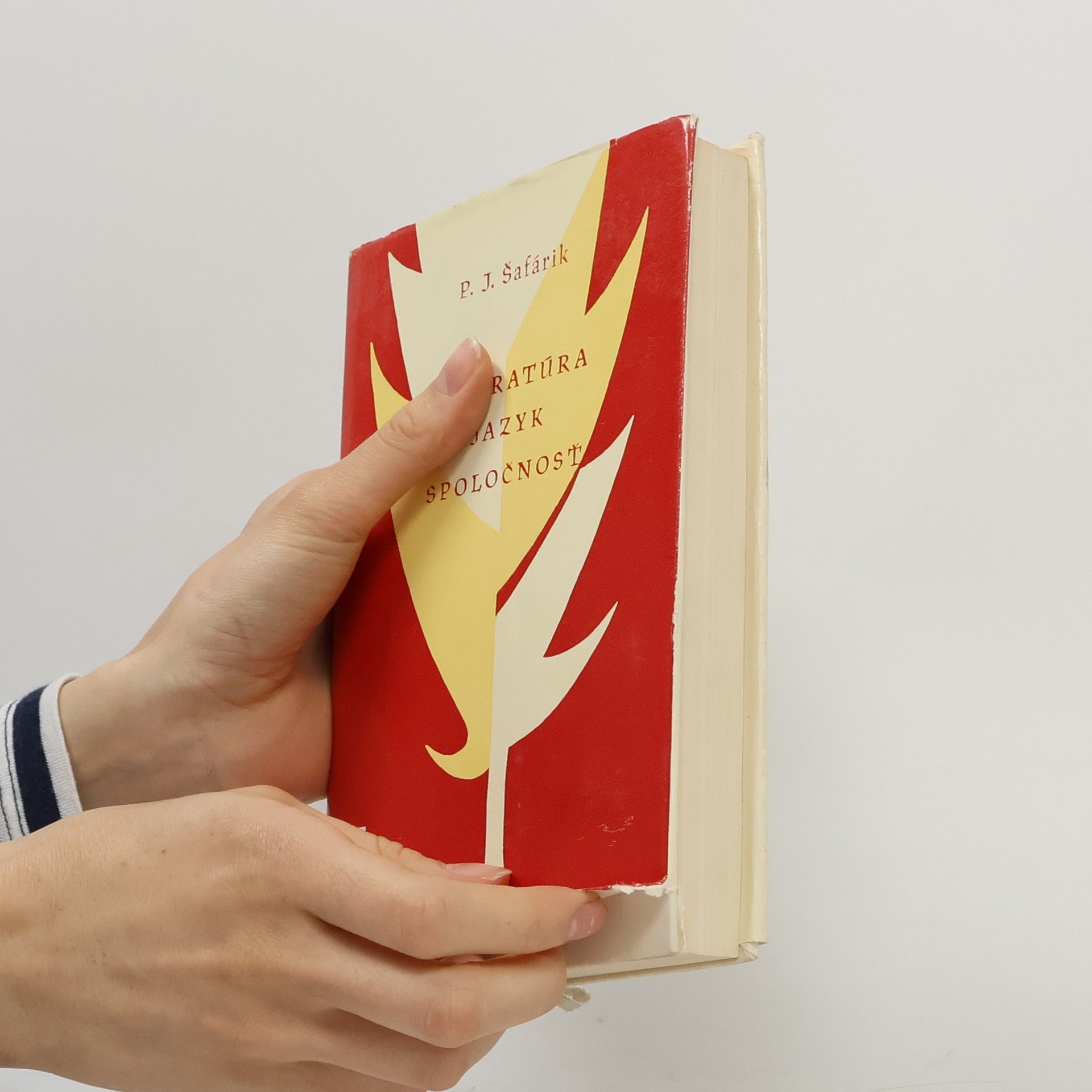 Pavel Josef Šafařík Literatúra, jazyk, spoločnosť