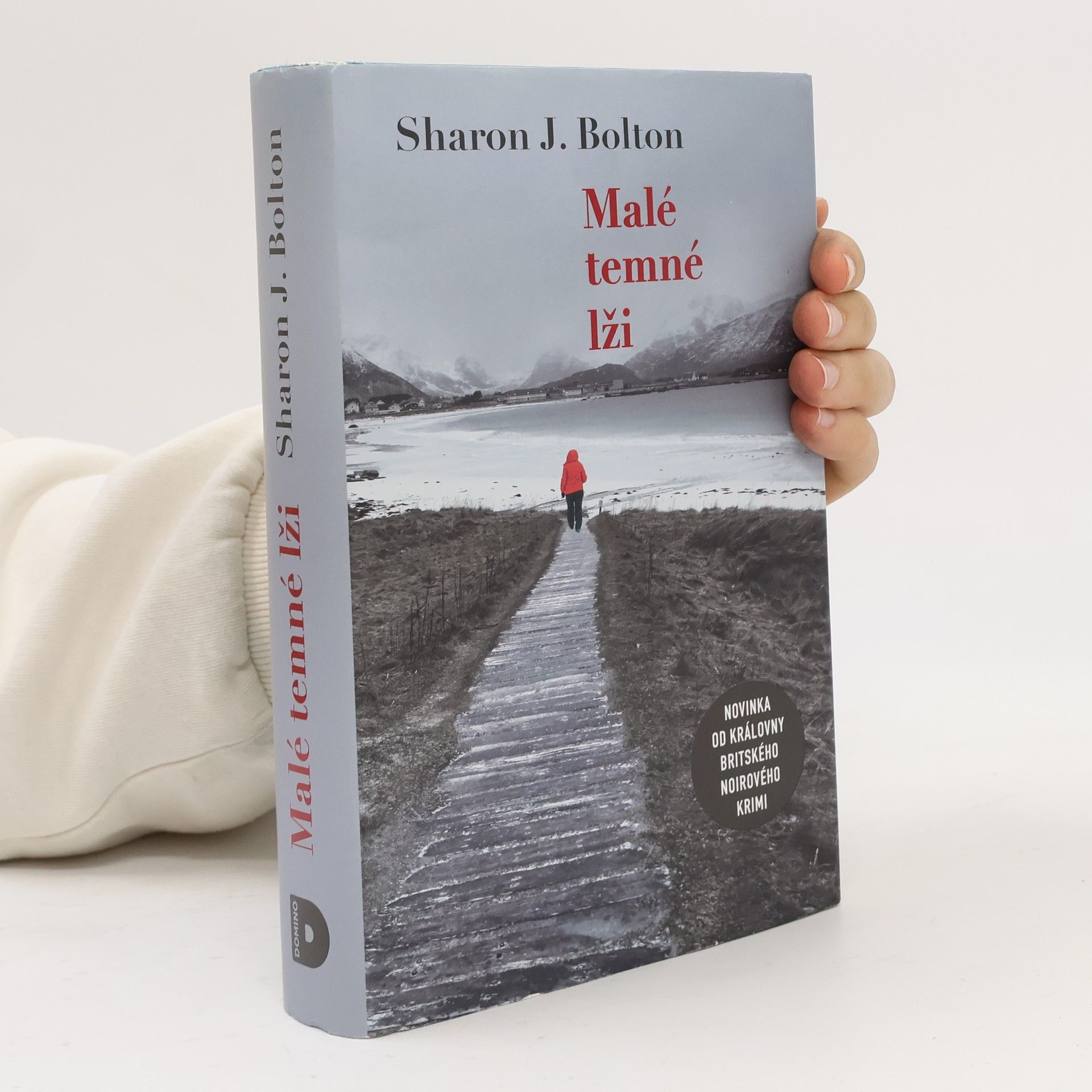 Sharon J. Bolton Malé temné lži