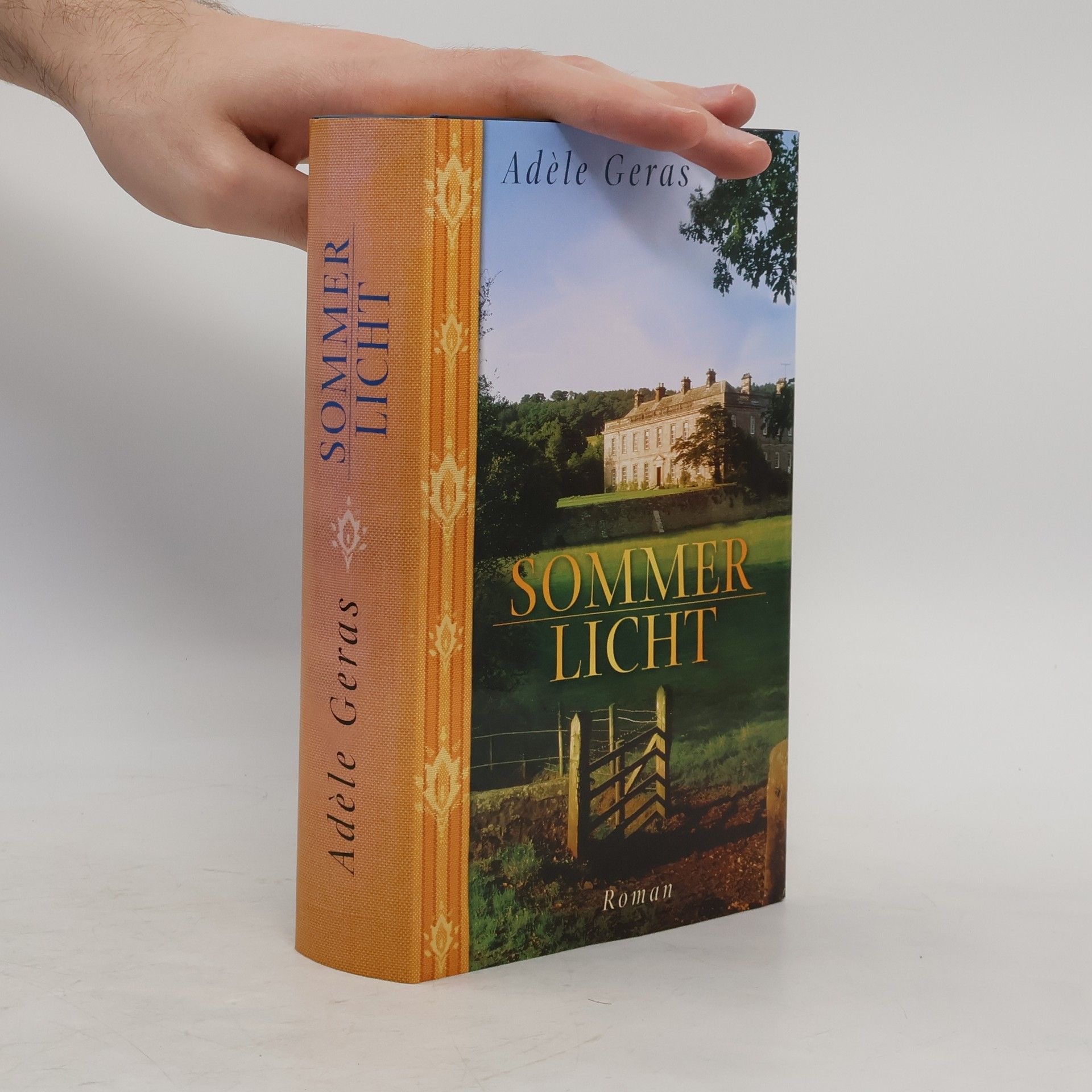 Adéle Geras Sommerlicht