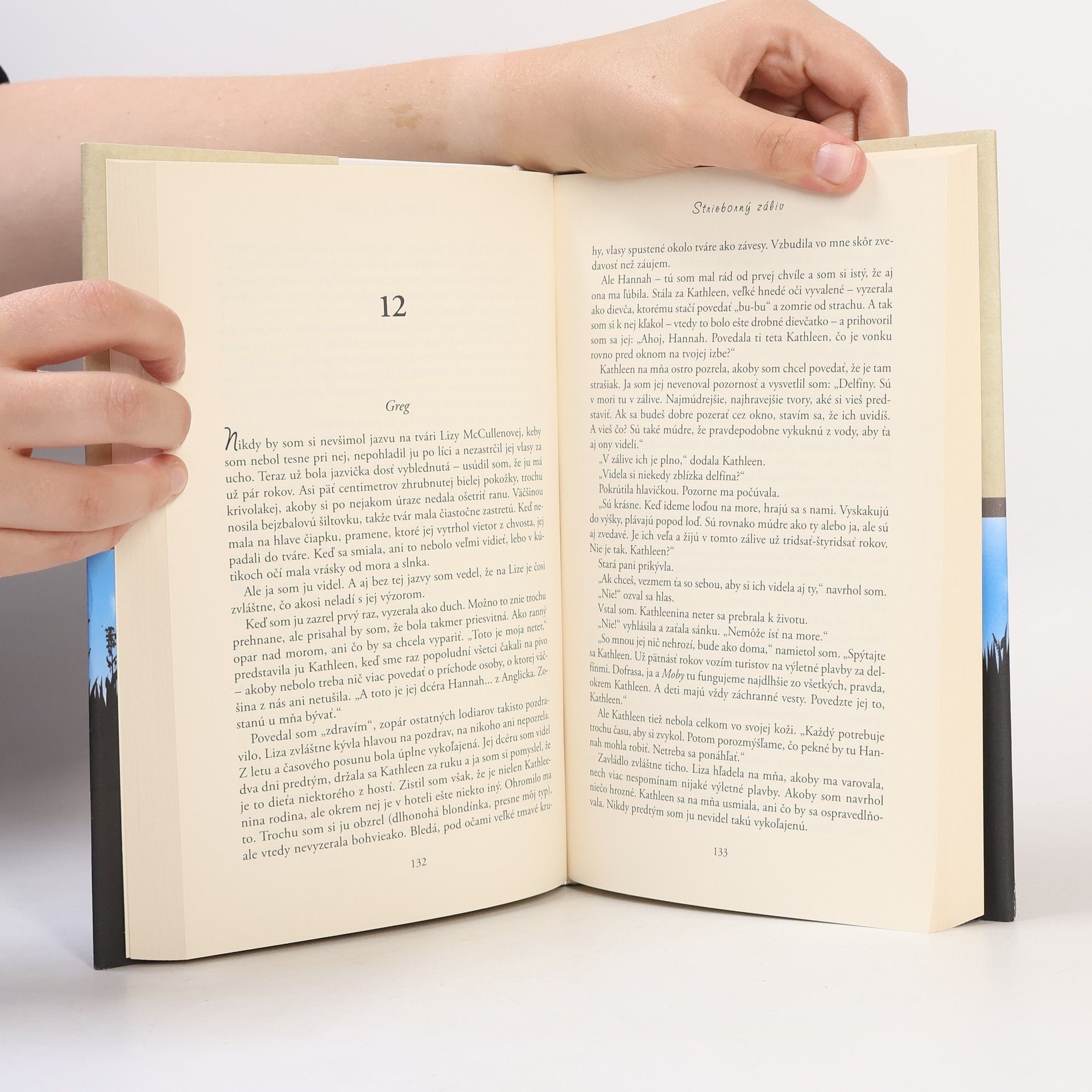 Jojo Moyes Strieborný záliv