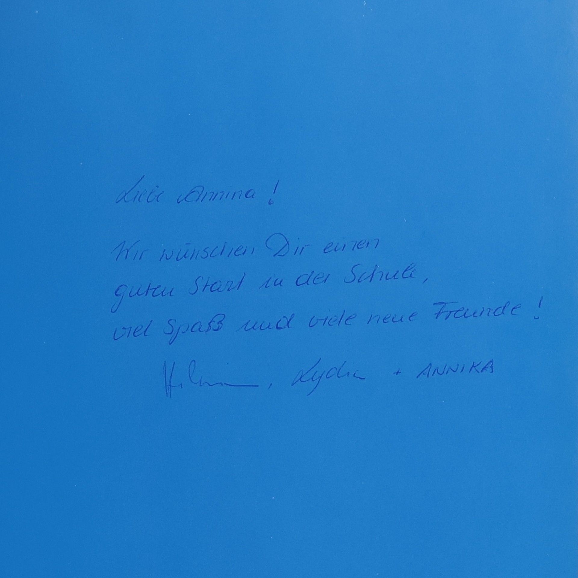 Julia Boehme Mein erstes LeseBilderBuch: Annas erster Schultag