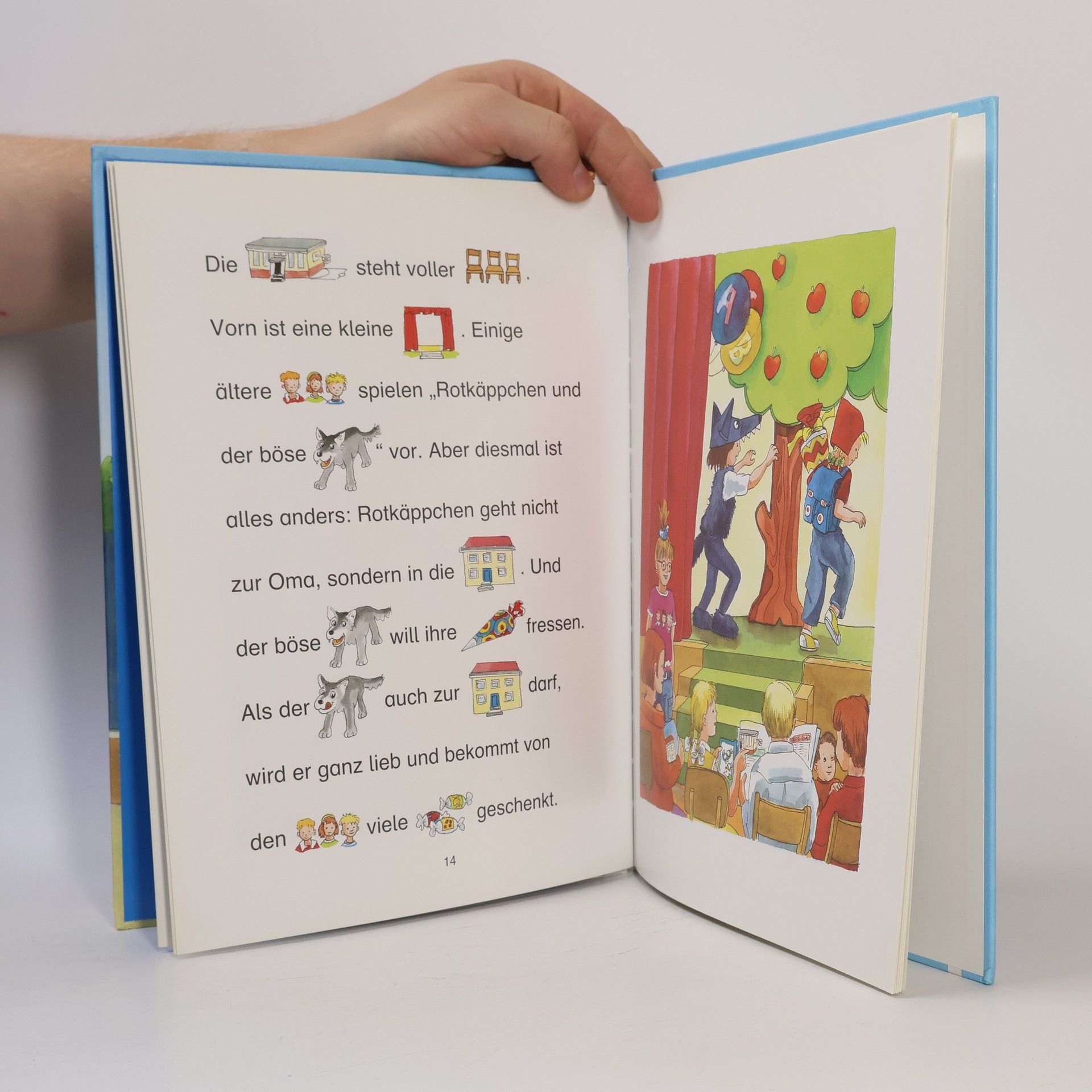 Julia Boehme Mein erstes LeseBilderBuch: Annas erster Schultag