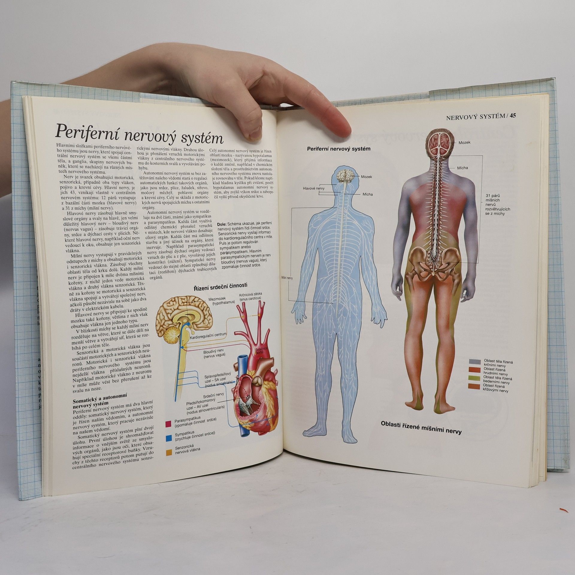Autorenkollektiv Atlas lidského těla