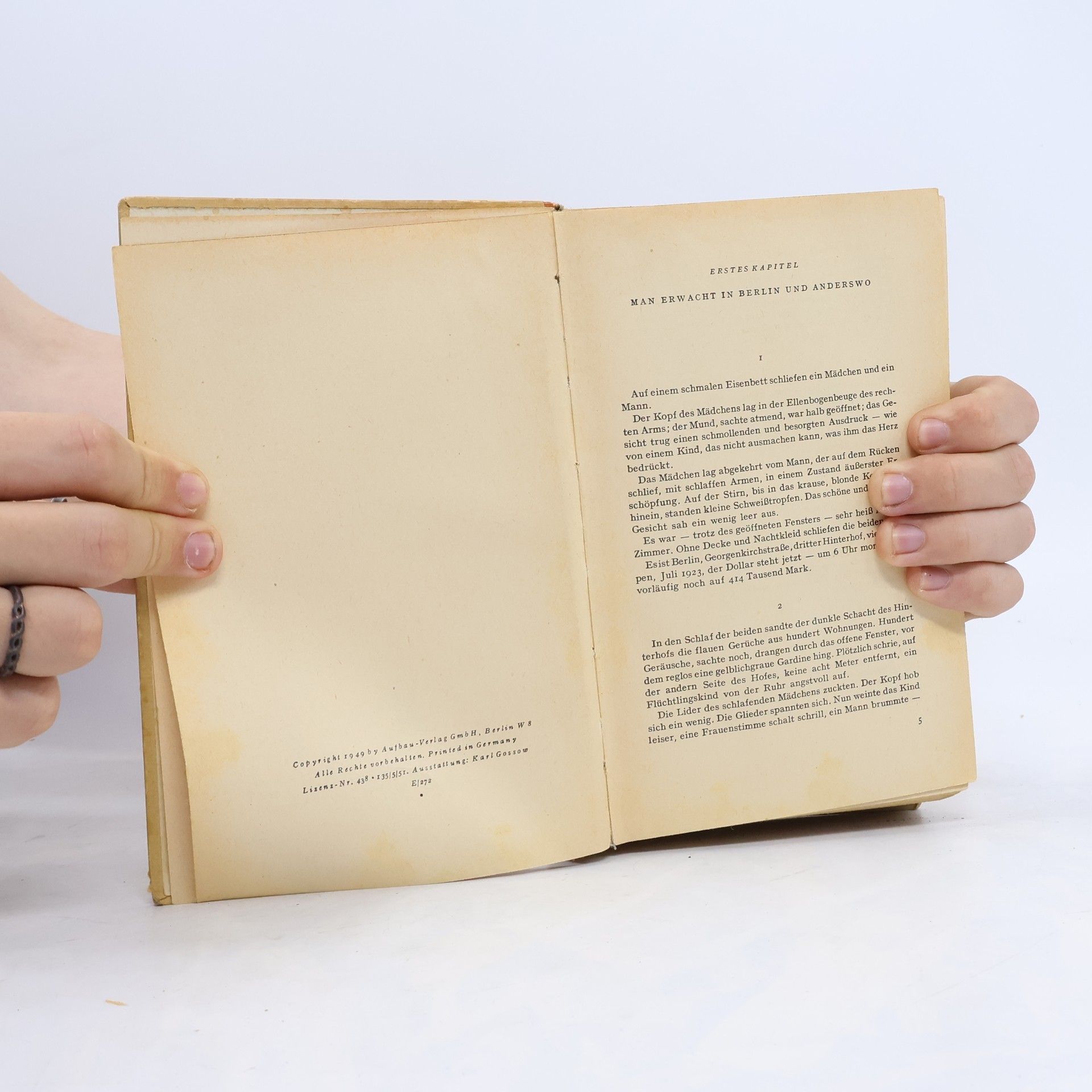 Hans Fallada Wolf unter Wölfen 2. Das Land in Brand