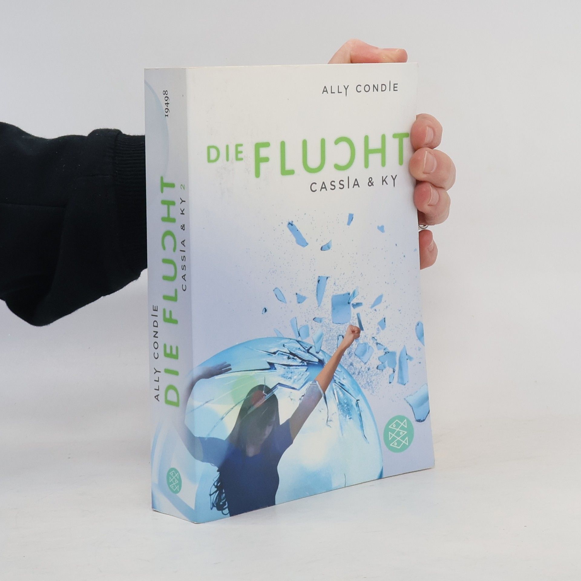 Allyson Braithwaite Condie Die Flucht
