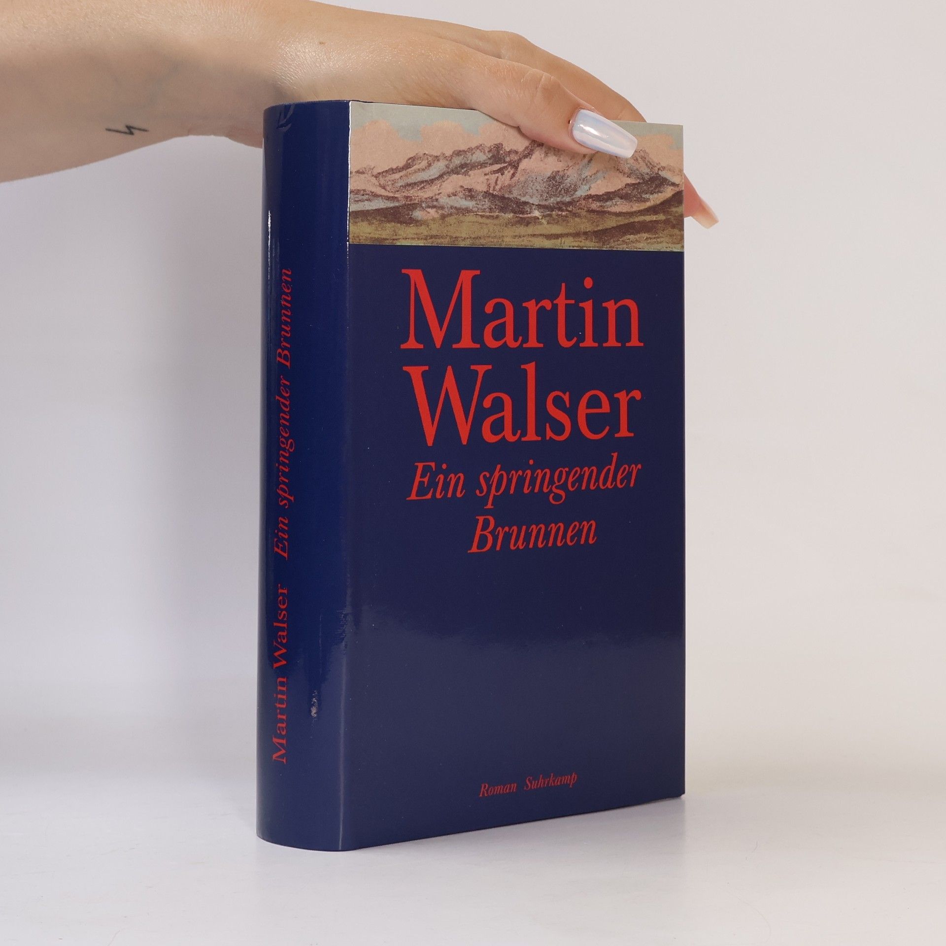 Martin Walser Ein springender Brunnen
