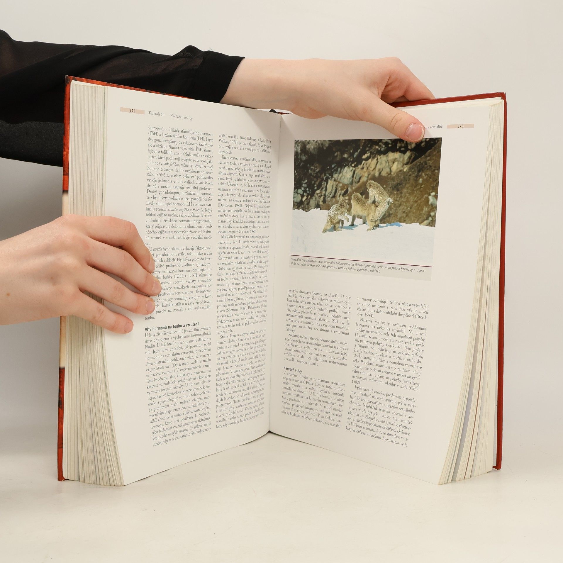 Rita L. Atkinson Psychologie