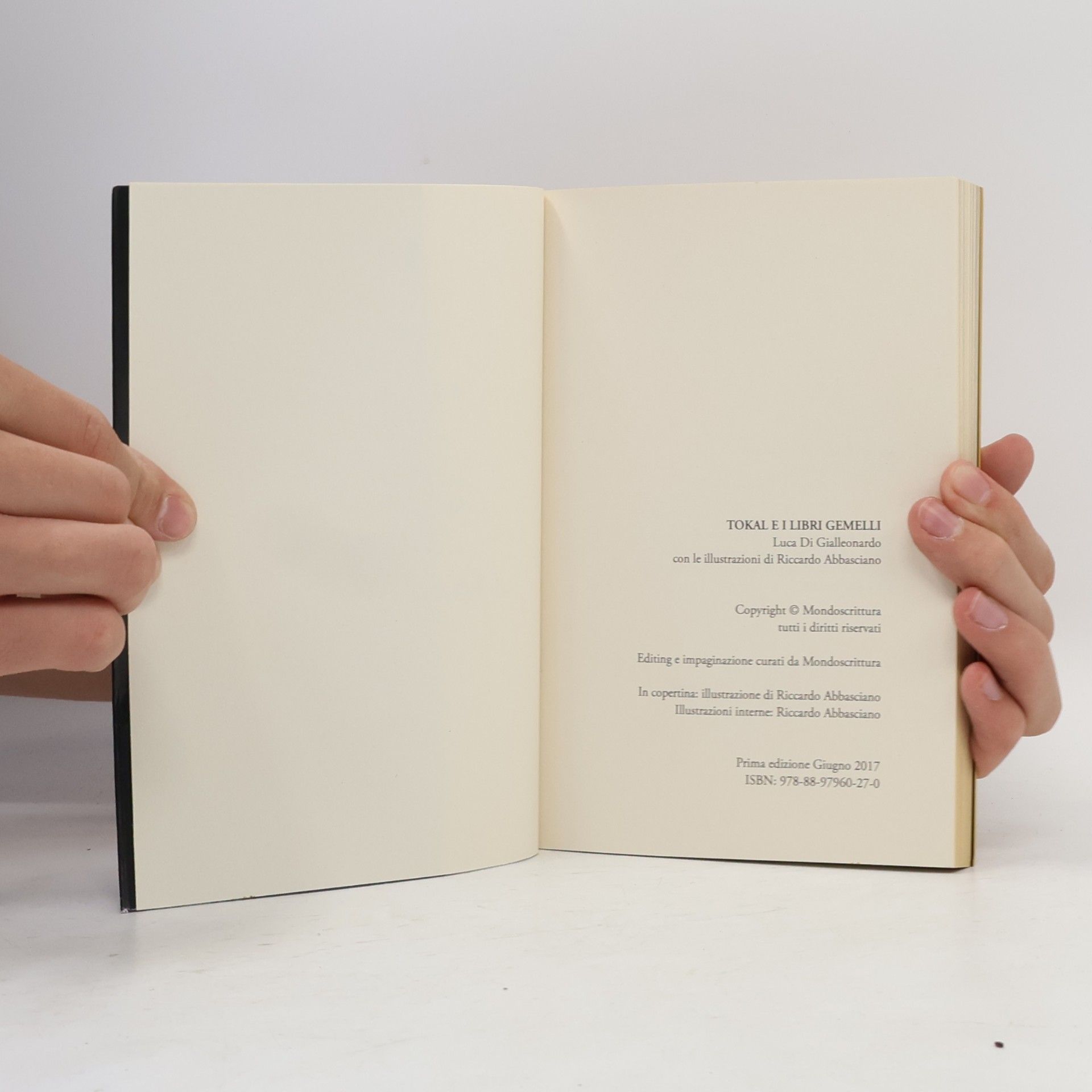 Luca Di Gialleonardo Tokal e i libri gemelli