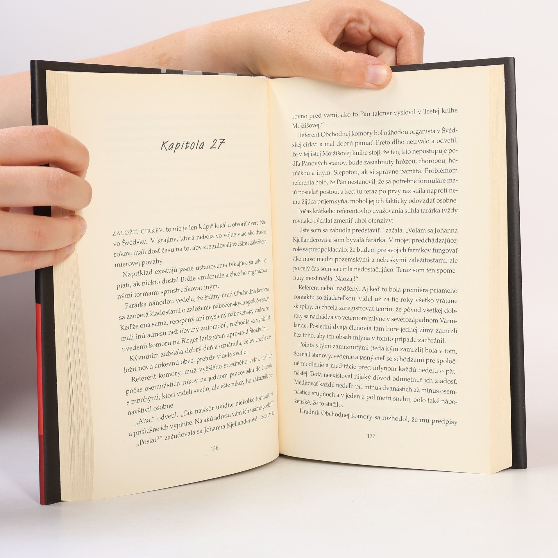 Jonas Jonasson Zabijak Anders a jeho priatelia