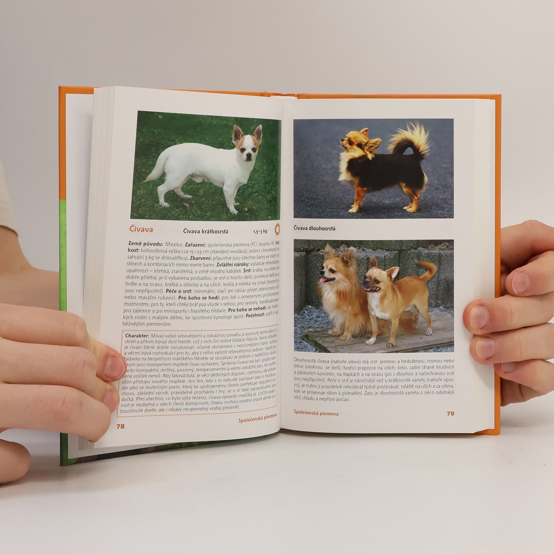 Lea Smrčková Psi. Příruční atlas
