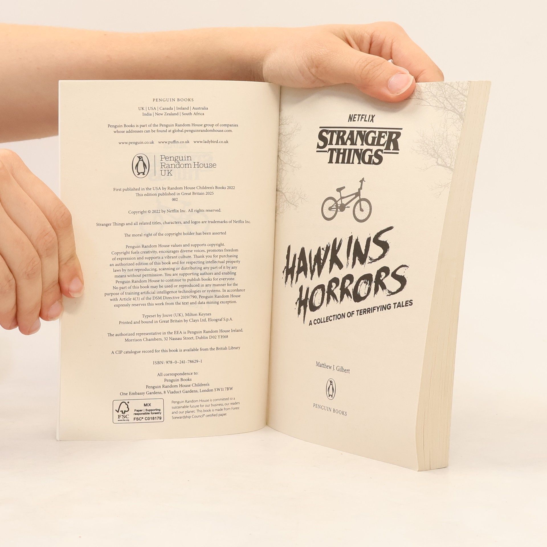 Matthew J. Gilbert Stranger Things: Hawkins Horrors: A Collection of Terrifying Tales