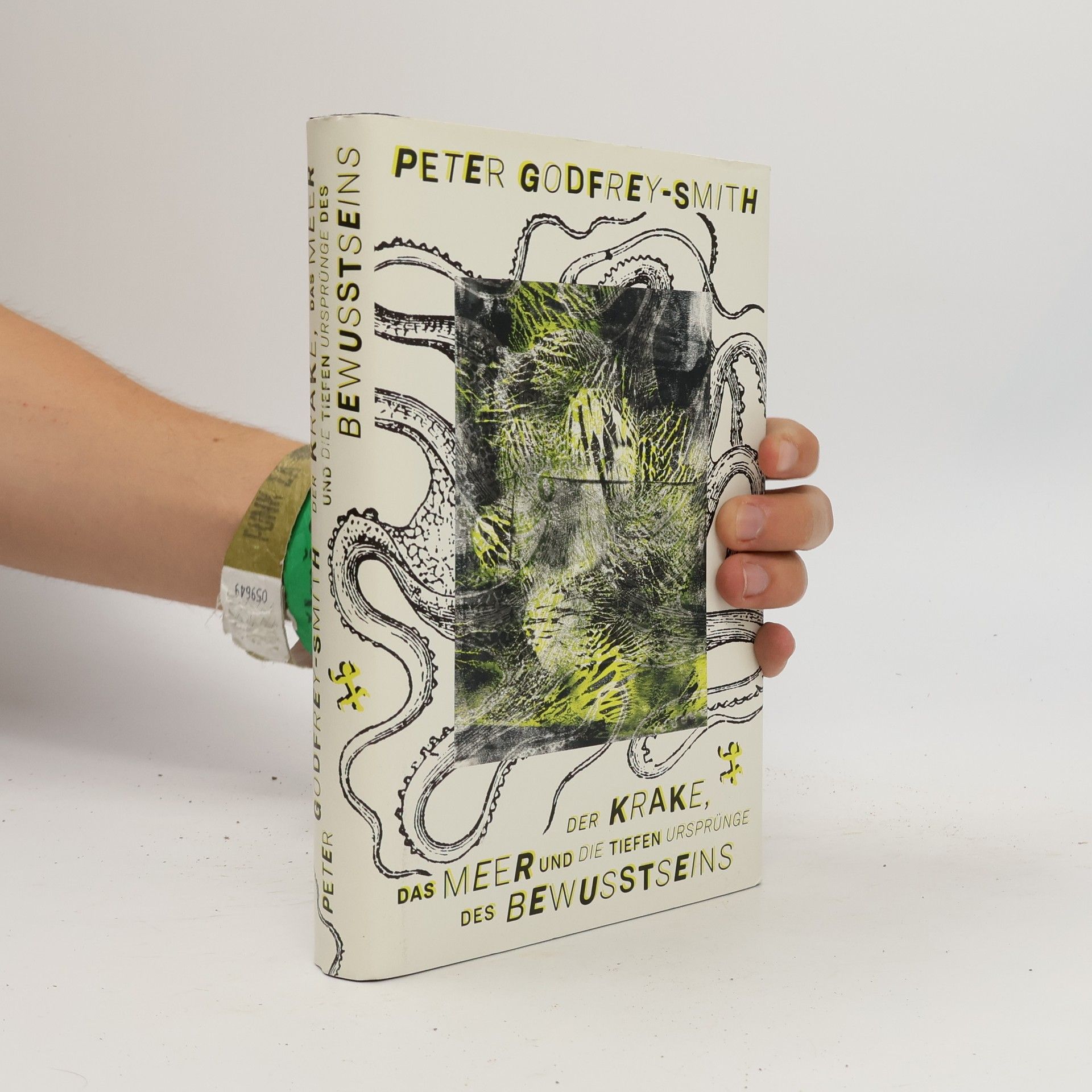 Peter Godfrey-Smith Der Krake, das Meer und die tiefen Ursprünge des Bewusstseins
