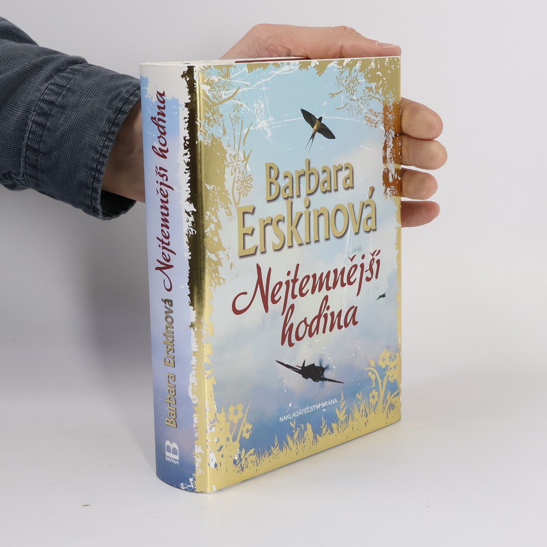 Barbara Erskine Nejtemnější hodina