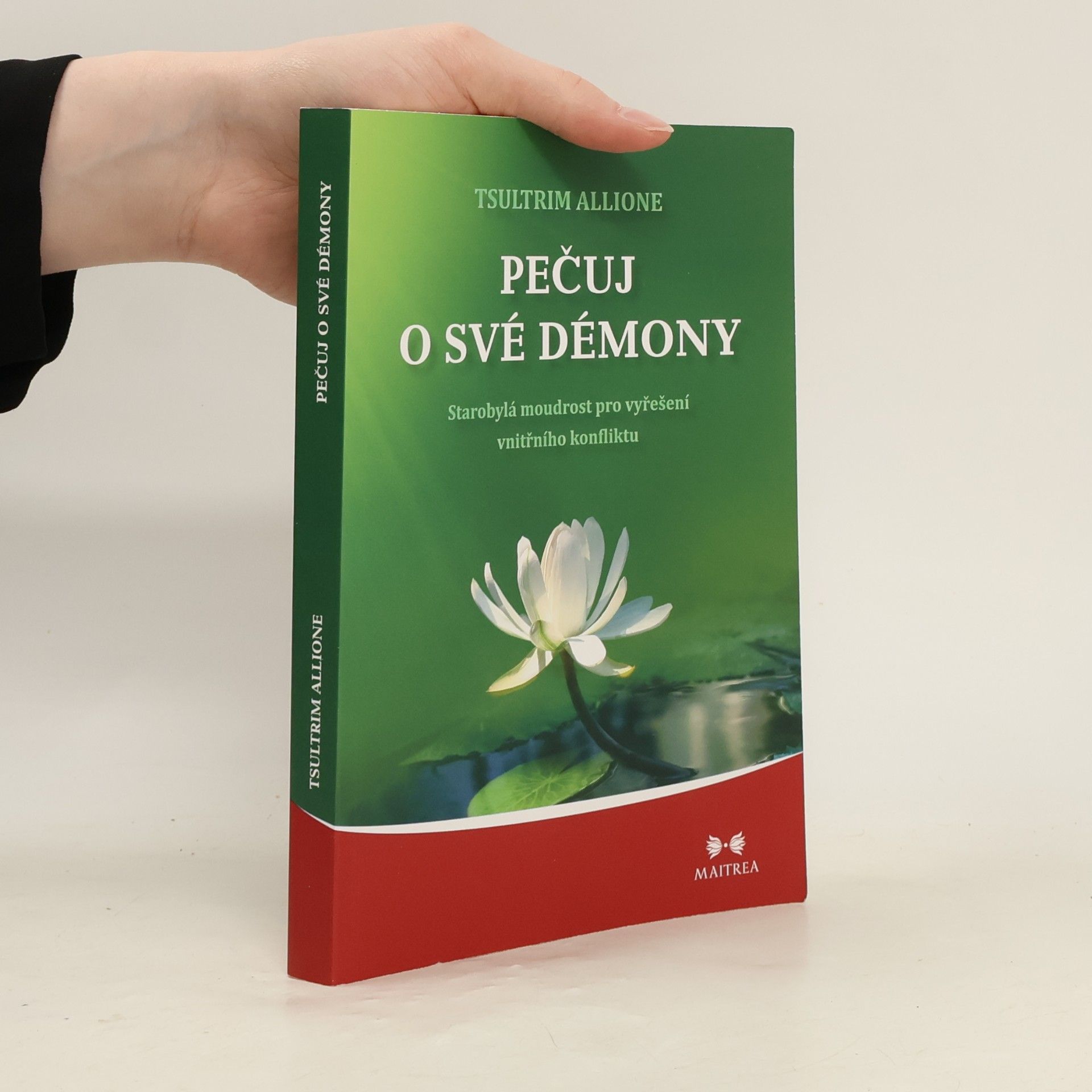 Tsultrim Allione Pečuj o své démony. Starobylá moudrost pro vyřešení vnitřního konfliktu