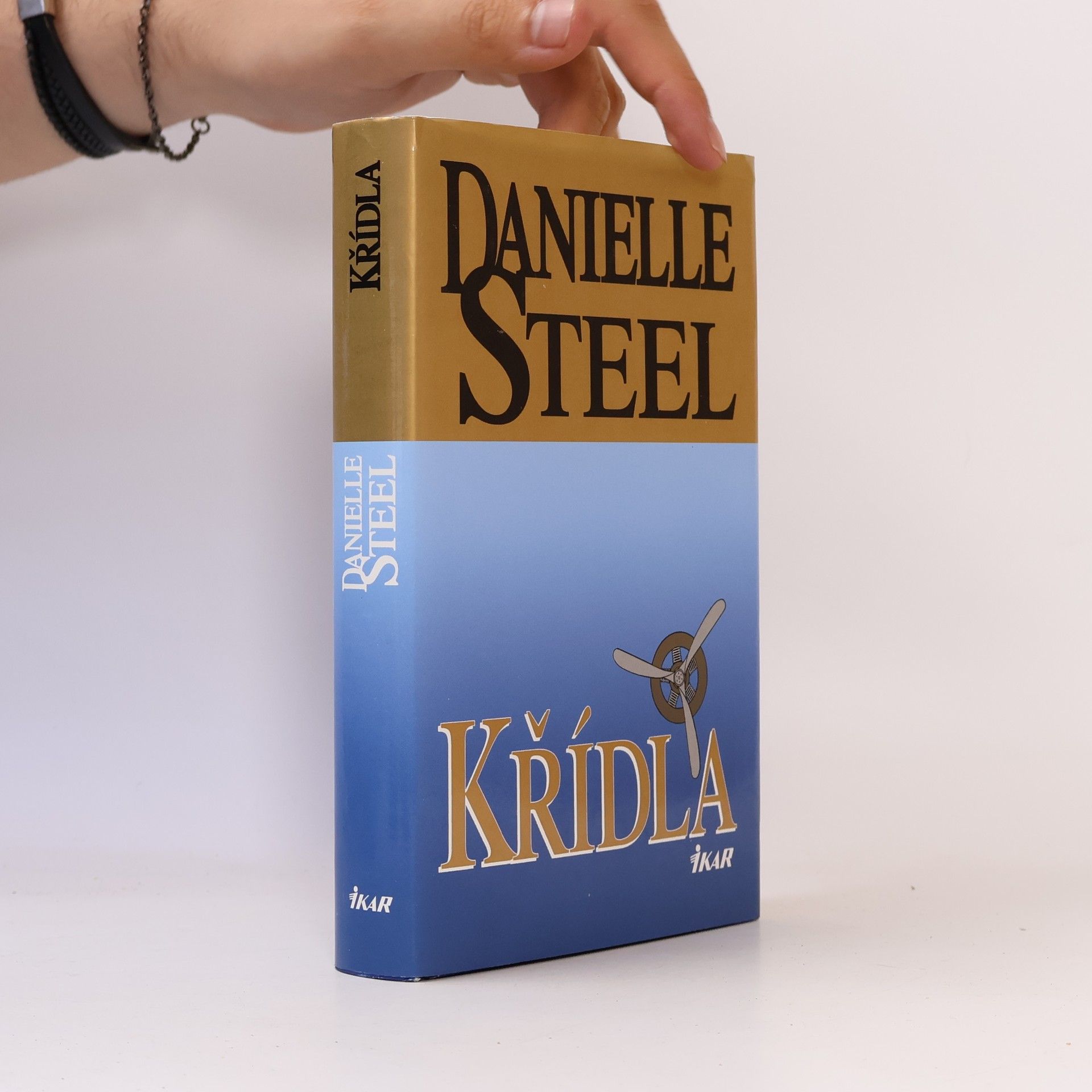 Danielle Steel Křídla