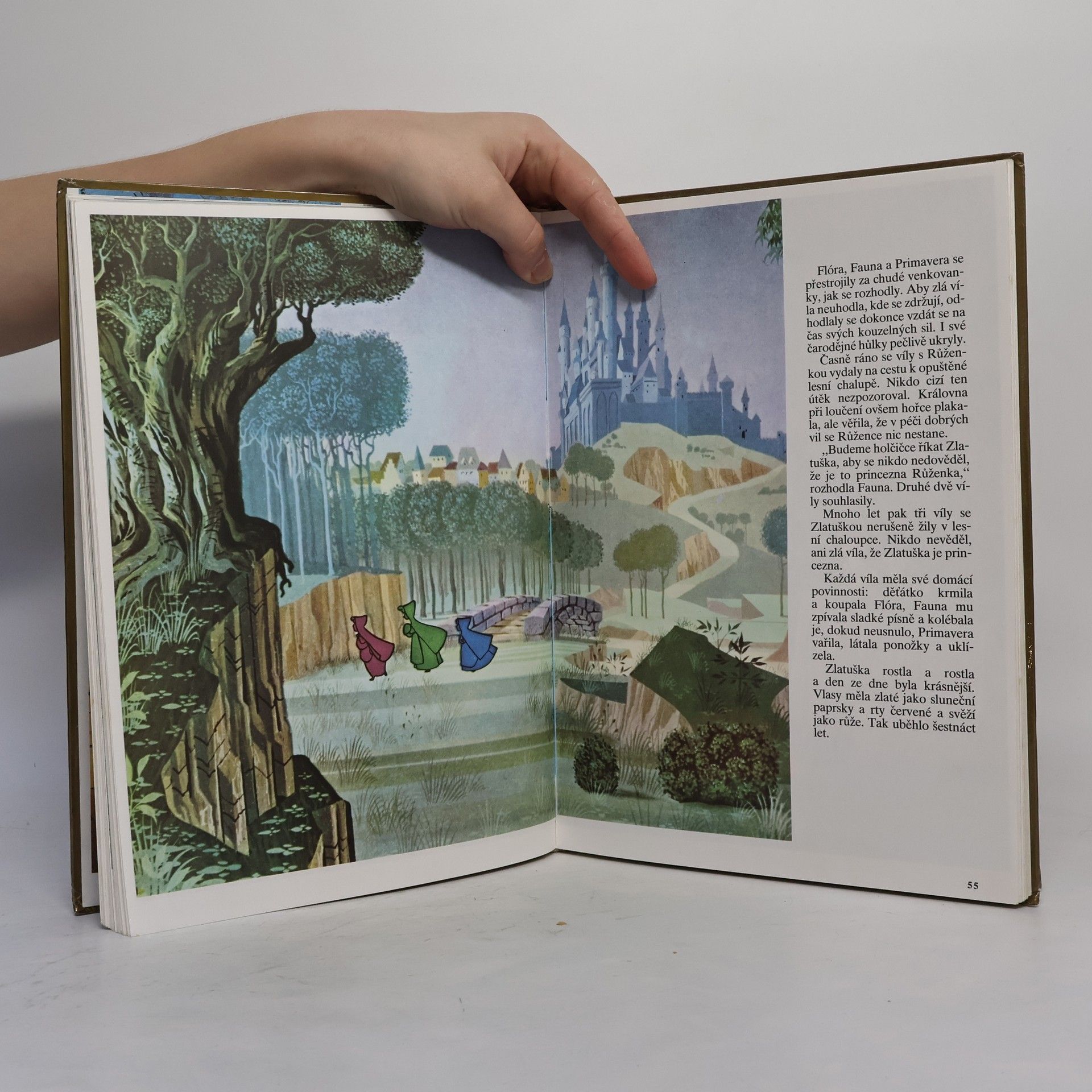 Walt Disney Robin Hood. Šípková Růženka. 101 dalmatinů