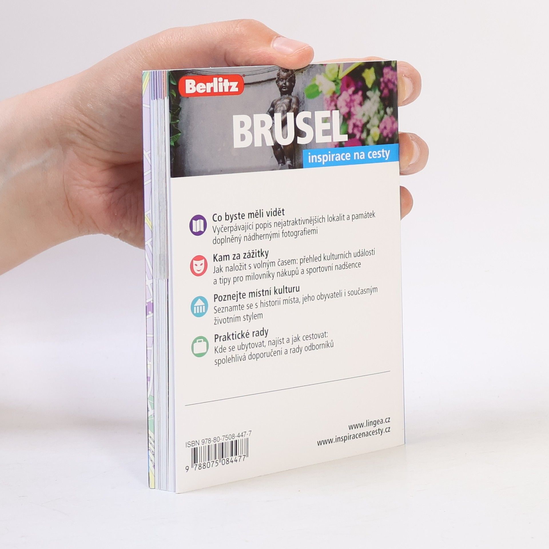Autores varios Brusel