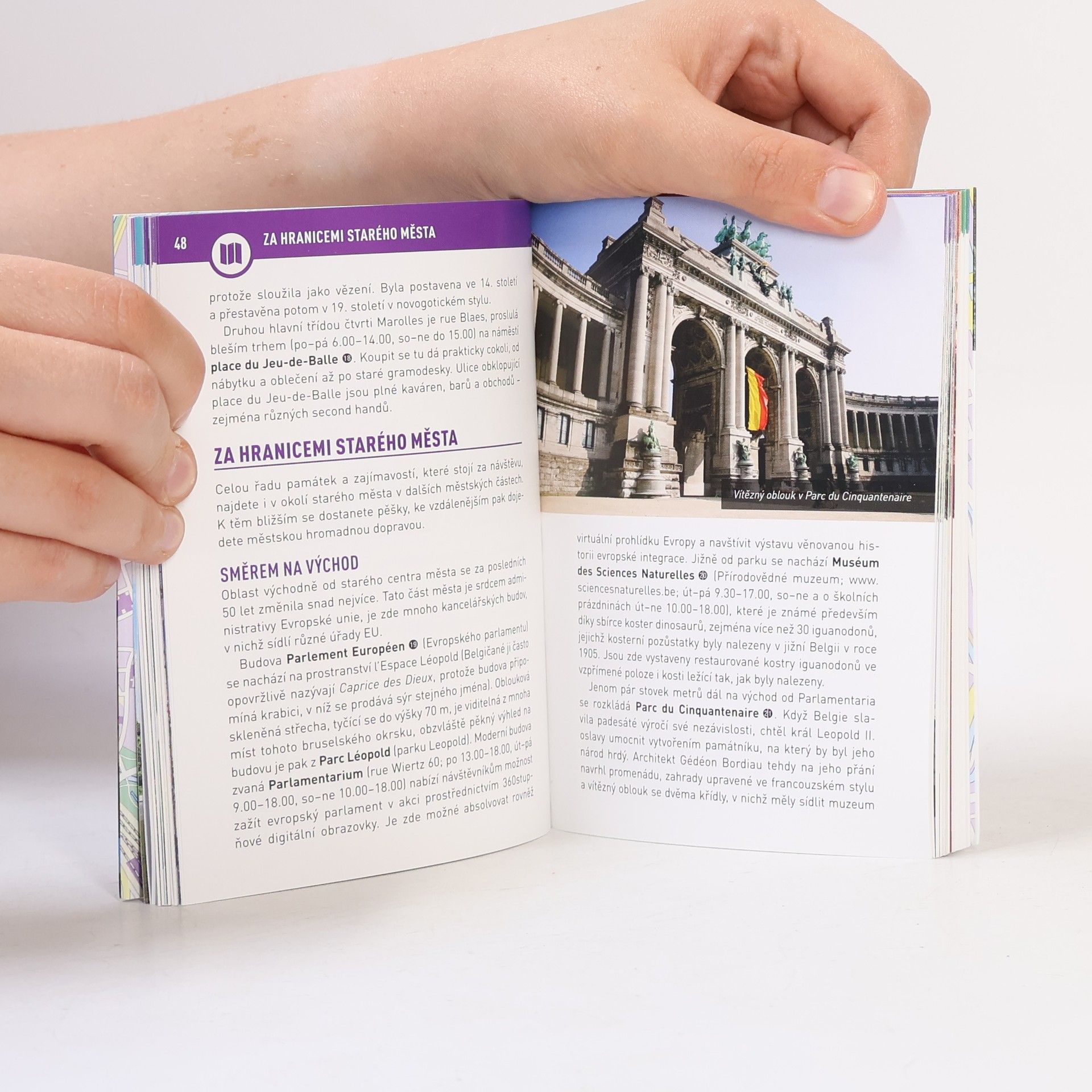 Autores varios Brusel