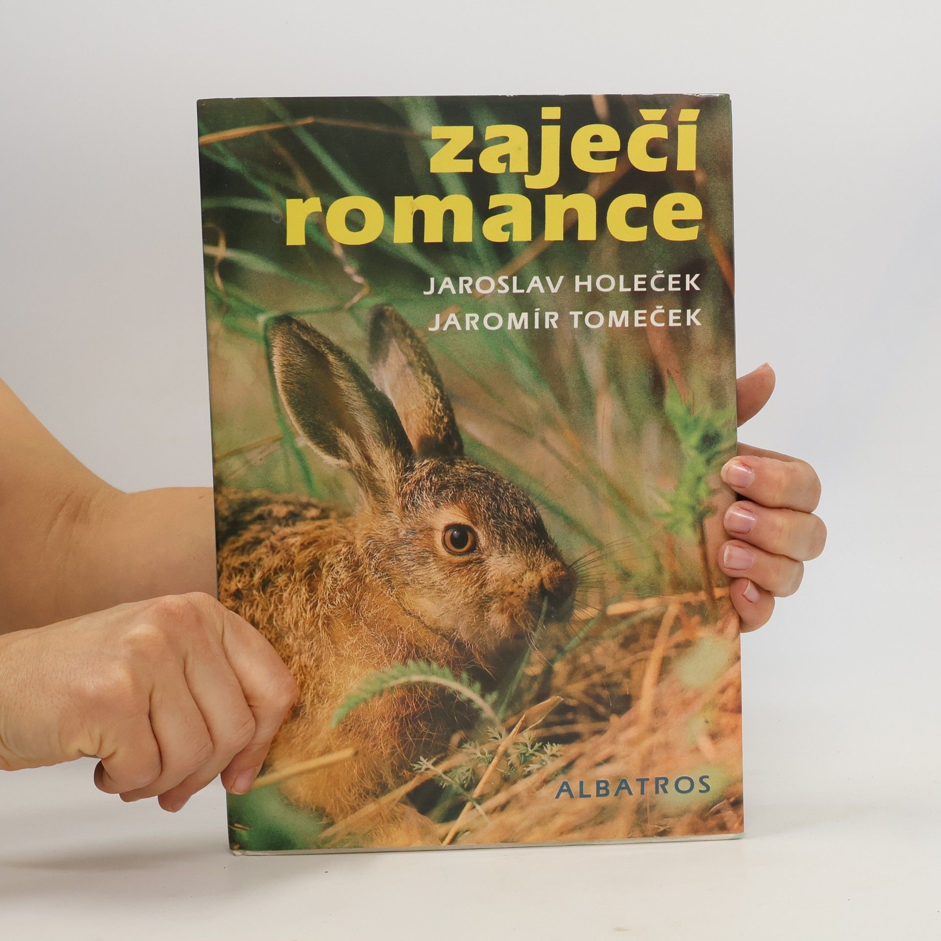 Jaroslav Holeček Zaječí romance
