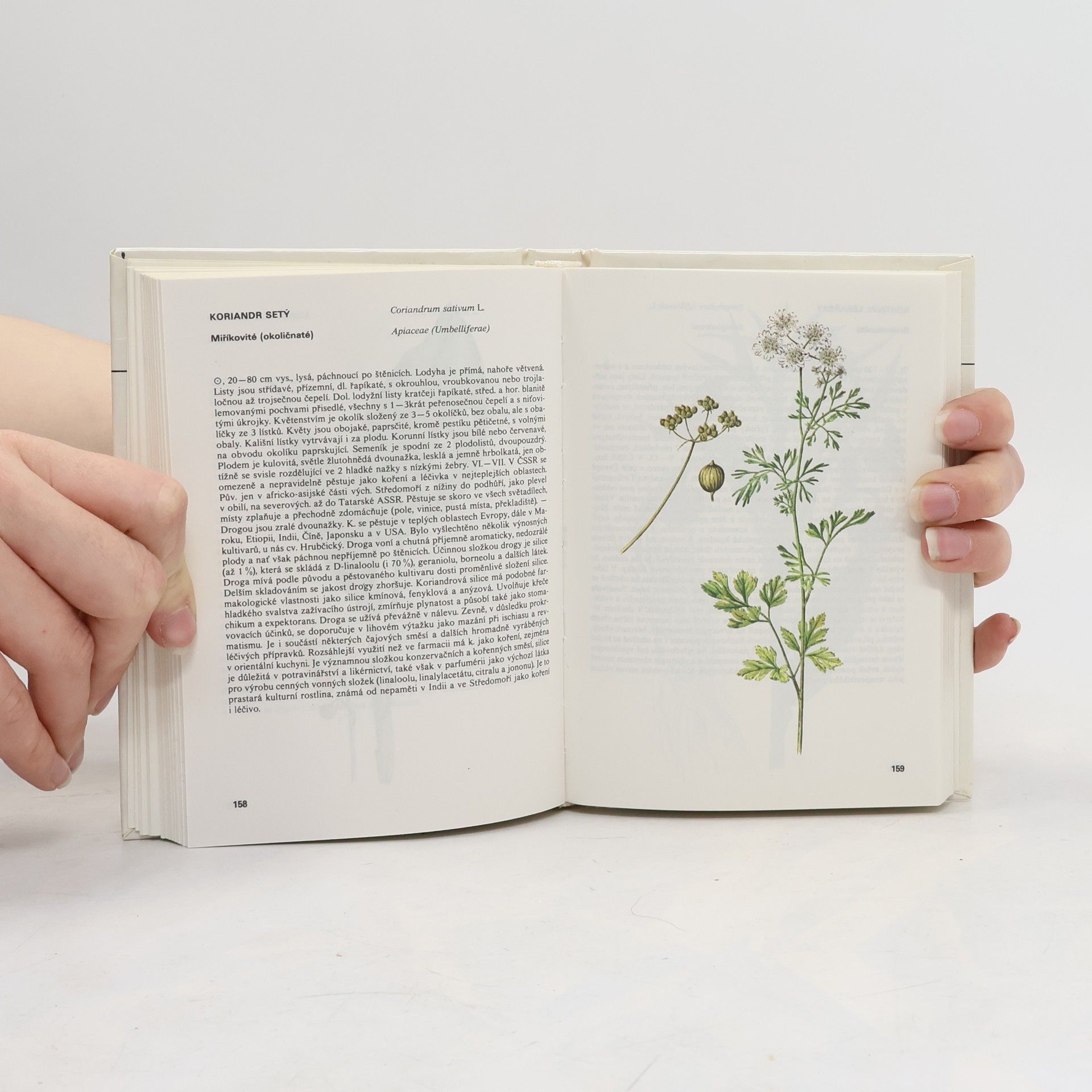 Václav Jirásek Kapesní atlas léčivých rostlin