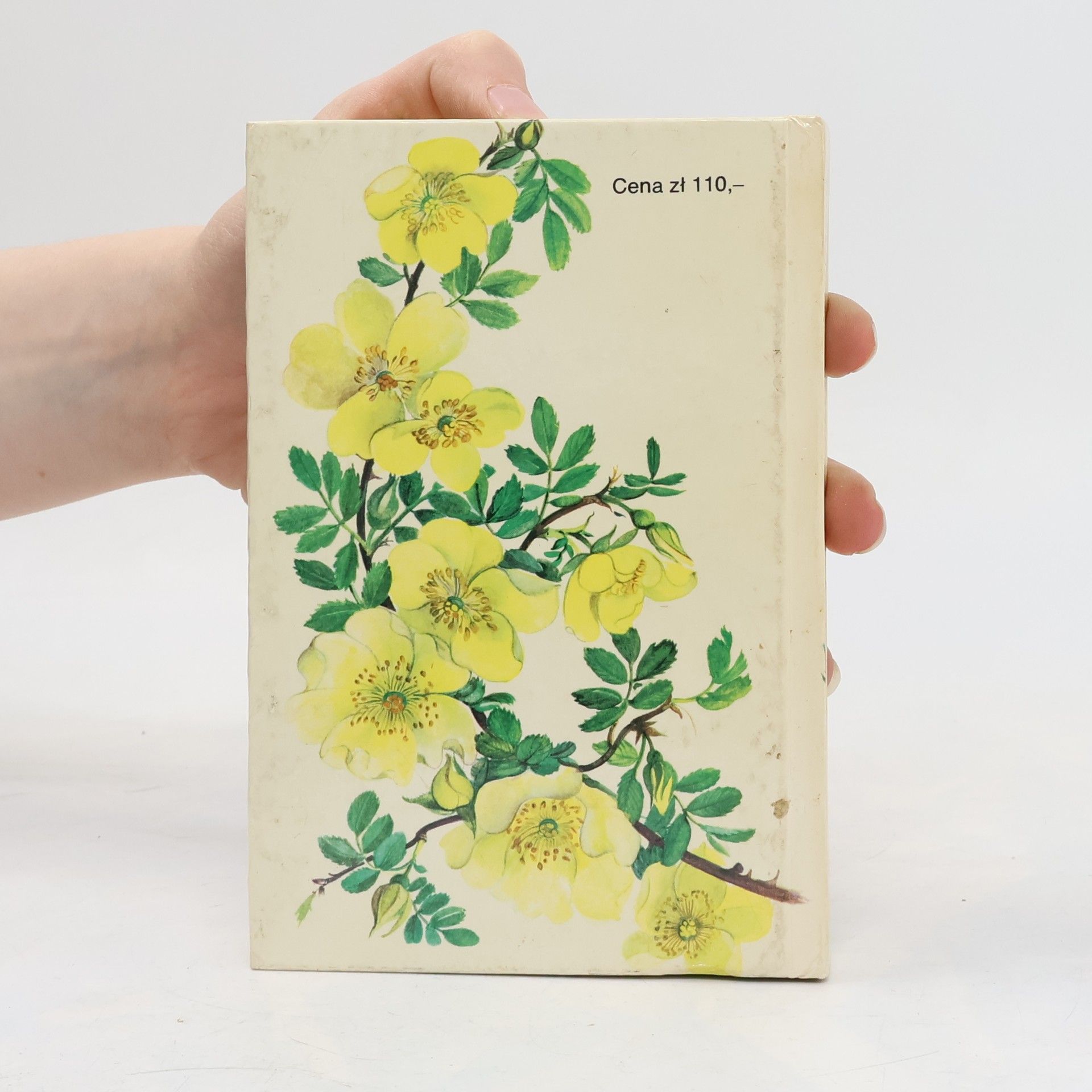 Ludvík Večeřa Mały atlas róż