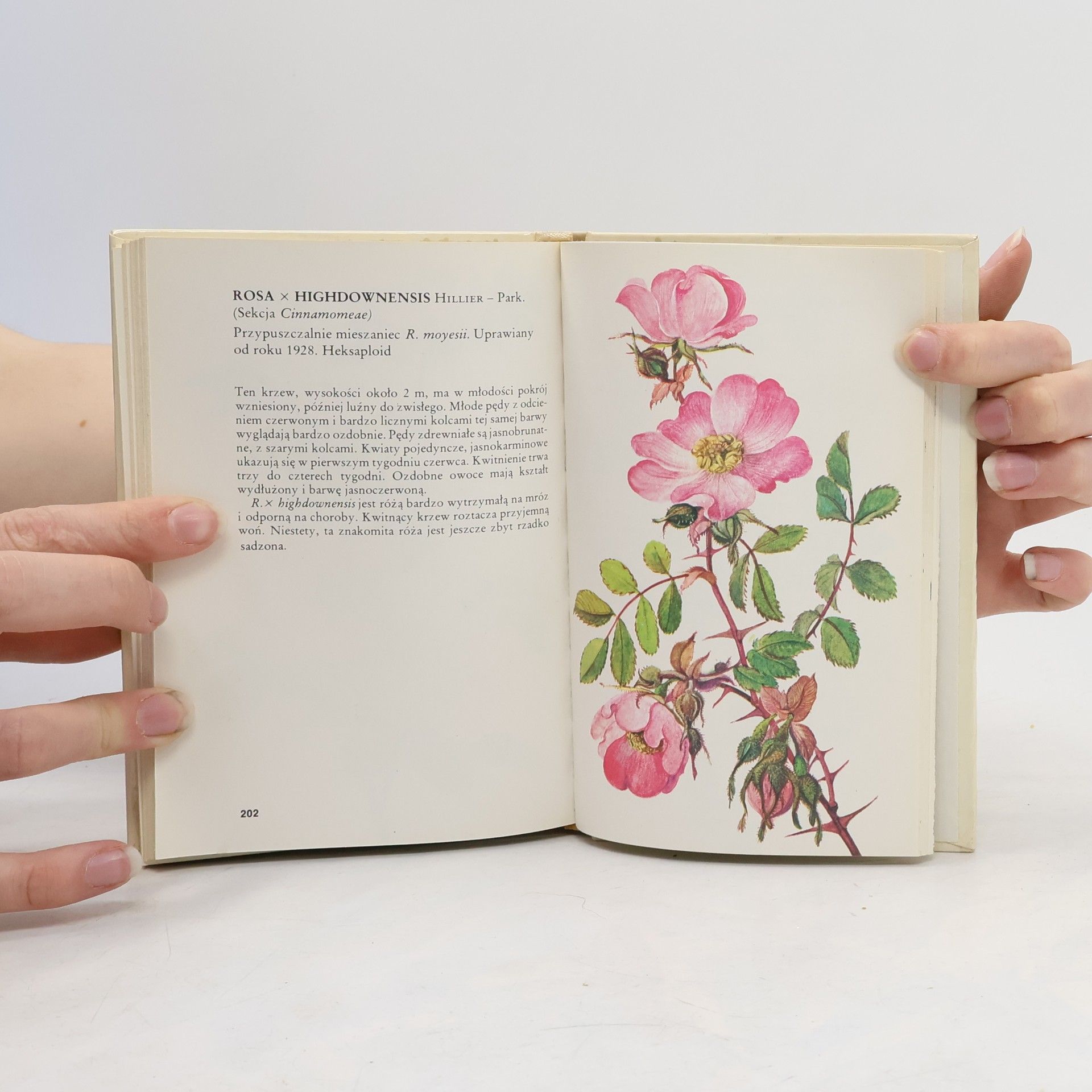 Ludvík Večeřa Mały atlas róż