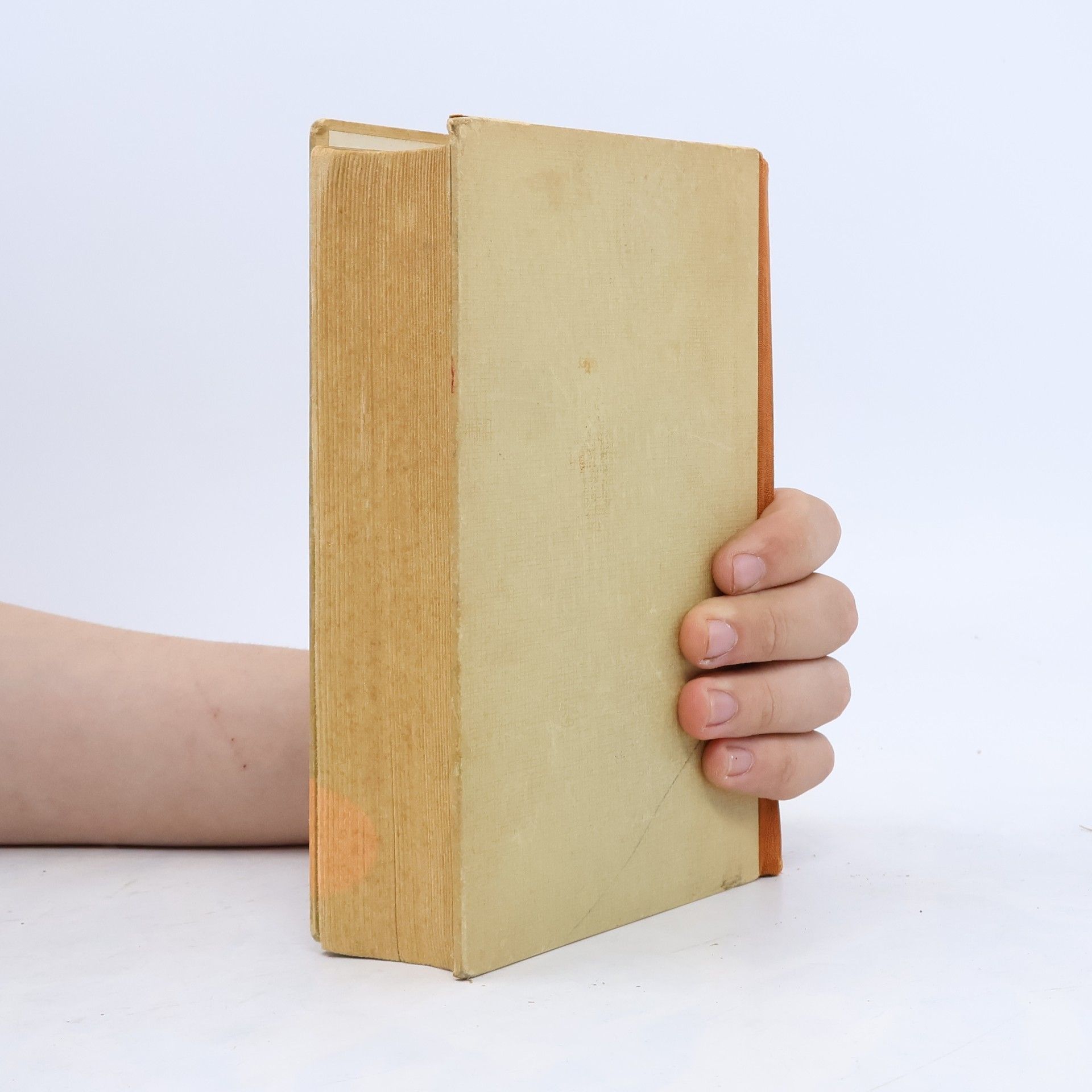 Hans Fallada Wolf unter Wölfen 2