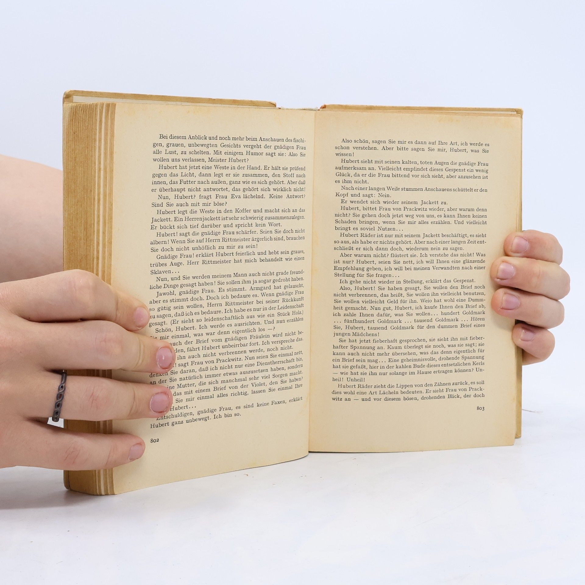 Hans Fallada Wolf unter Wölfen 2