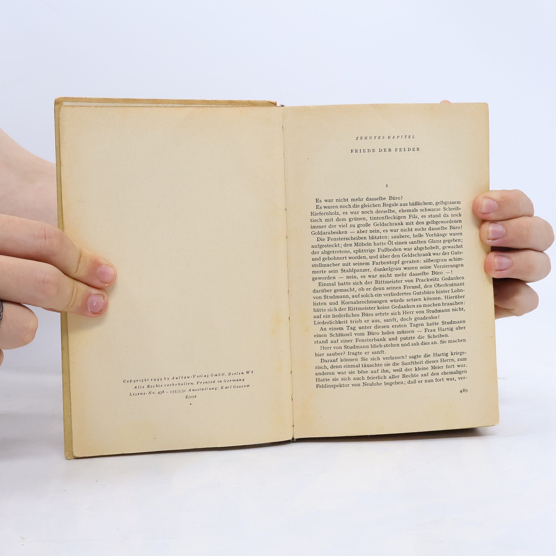Hans Fallada Wolf unter Wölfen 2