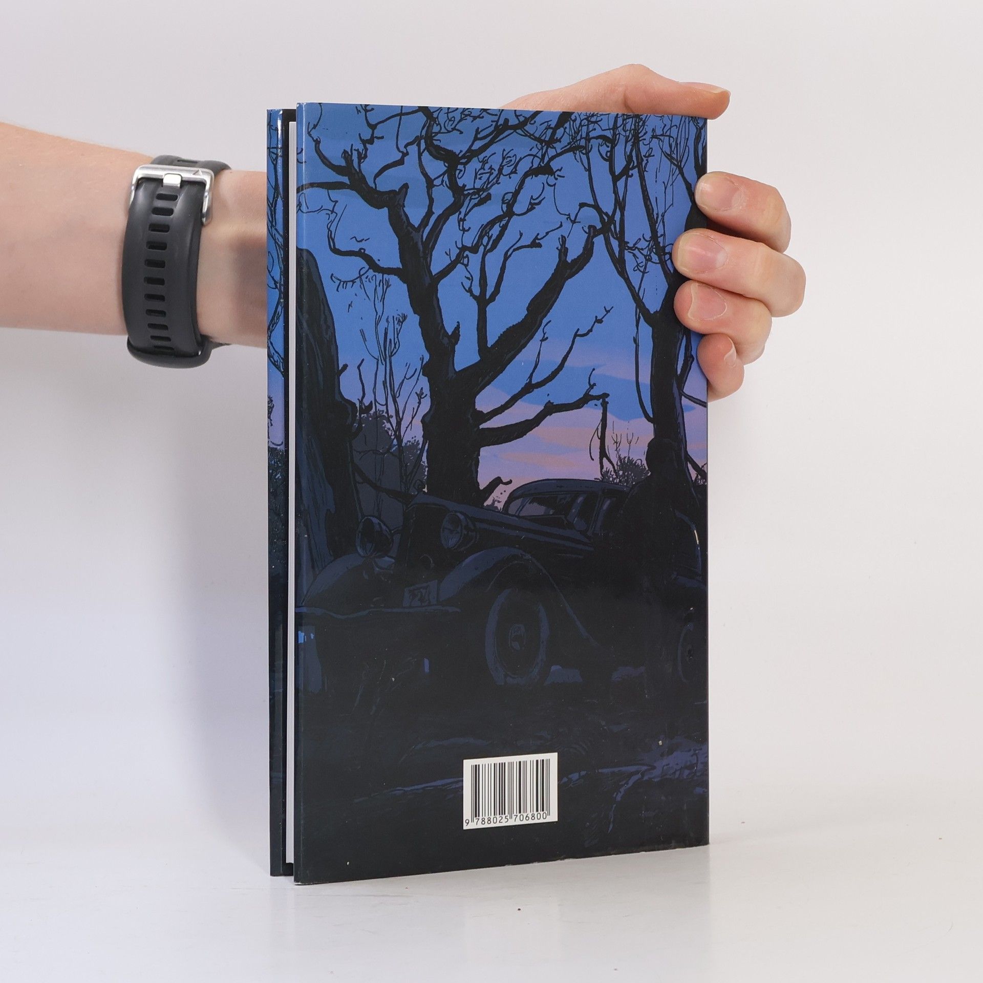 Cormac McCarthy Strážce sadu