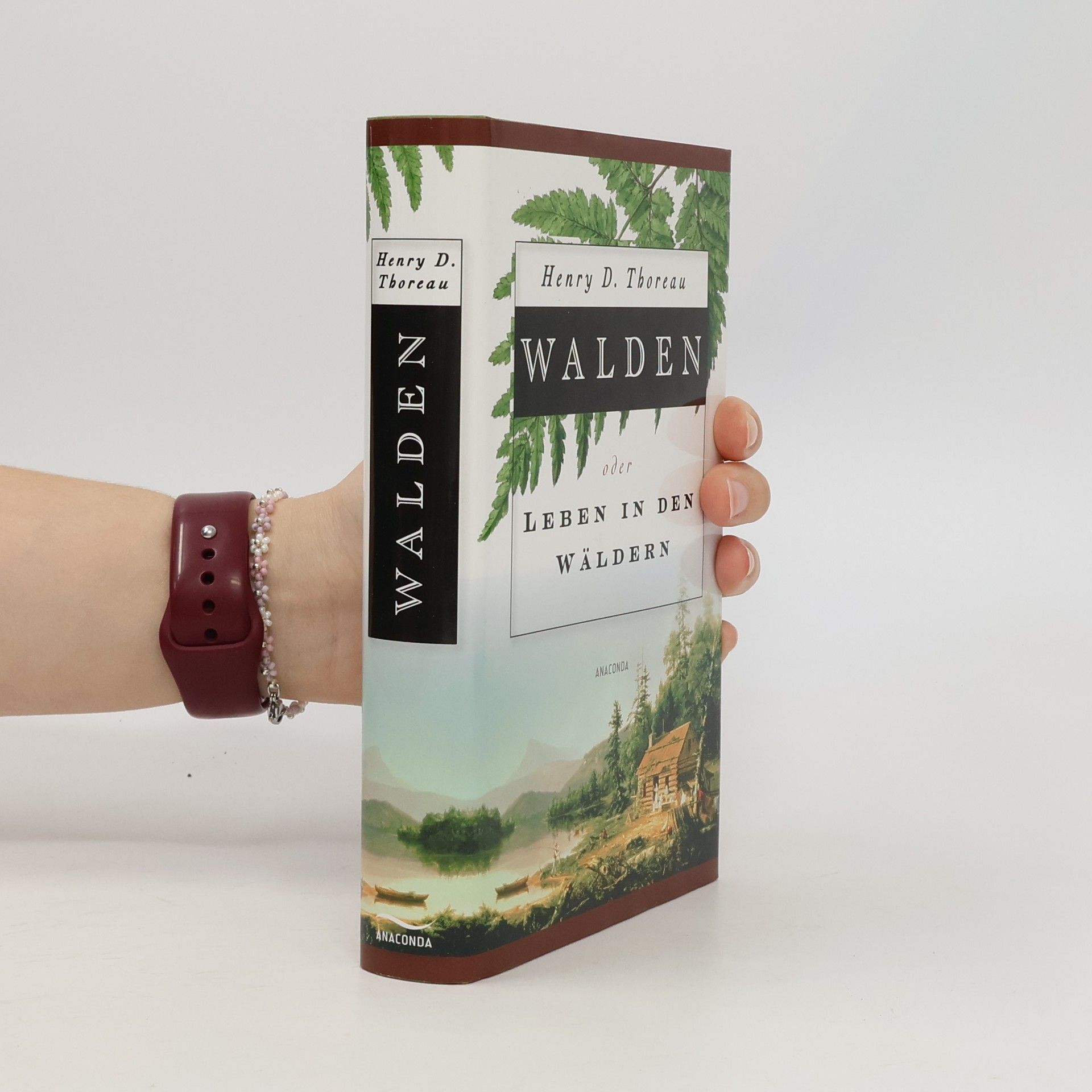 Henry David Thoreau Walden