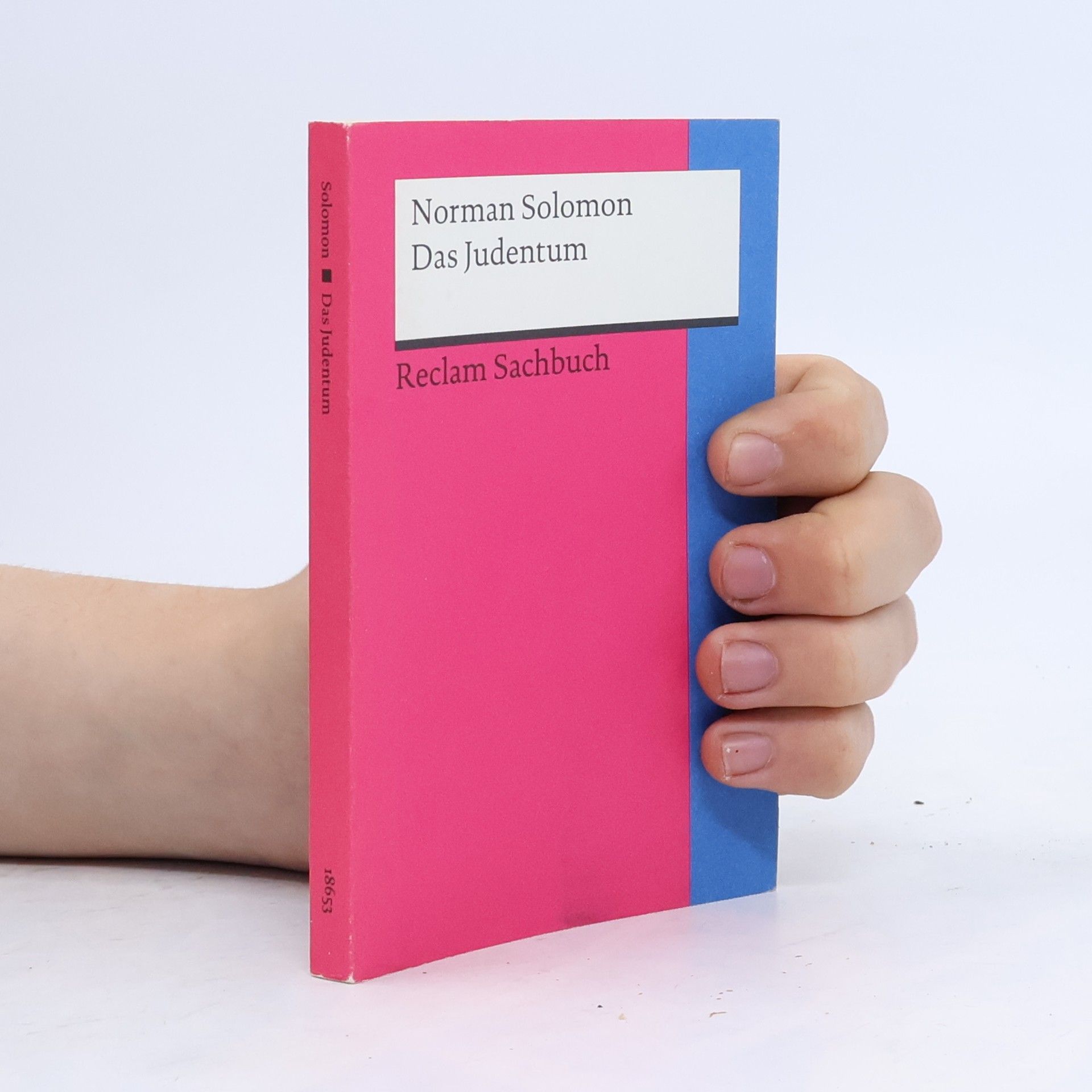 Norman Solomon Das Judentum