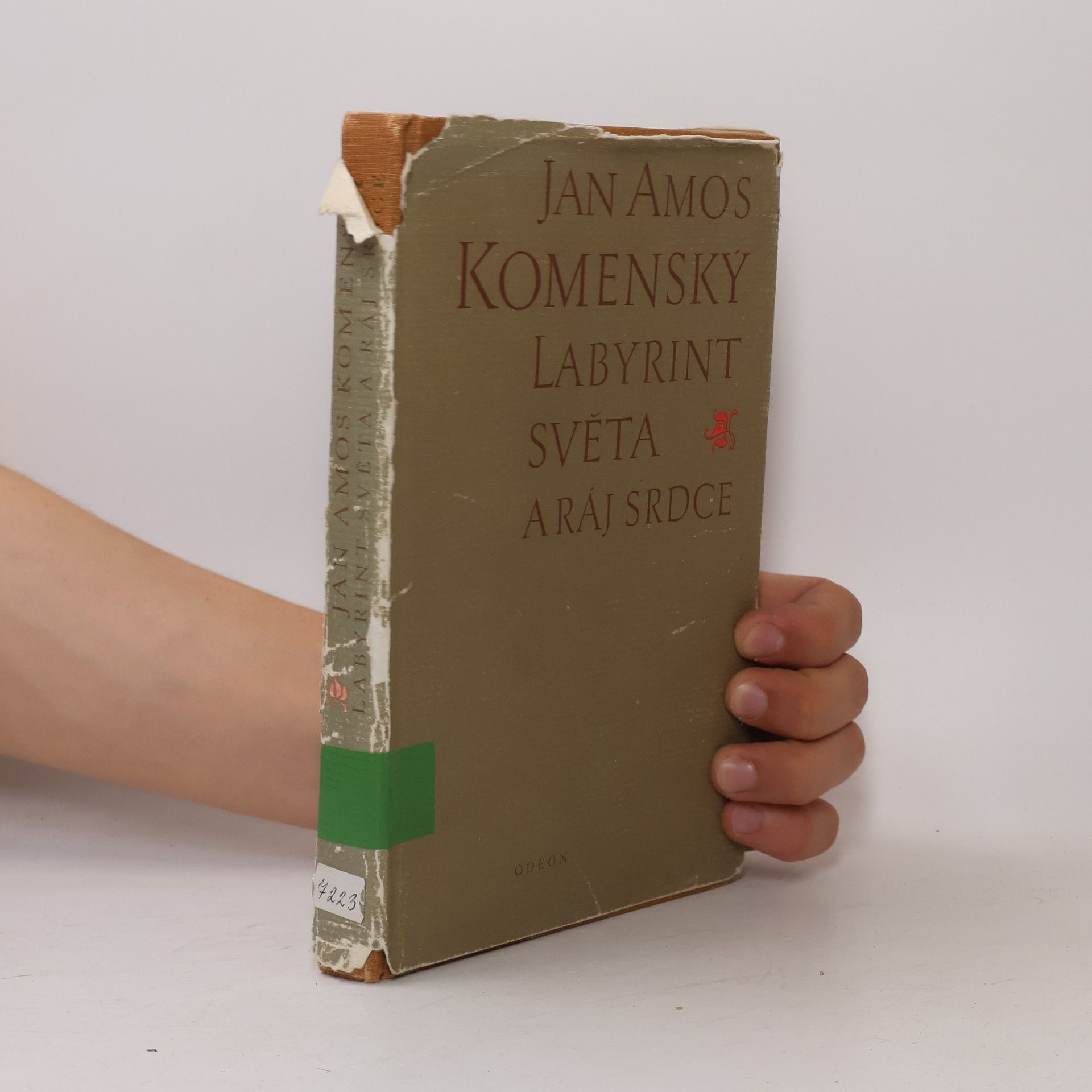 Johann Amos Comenius Labyrint světa a ráj srdce