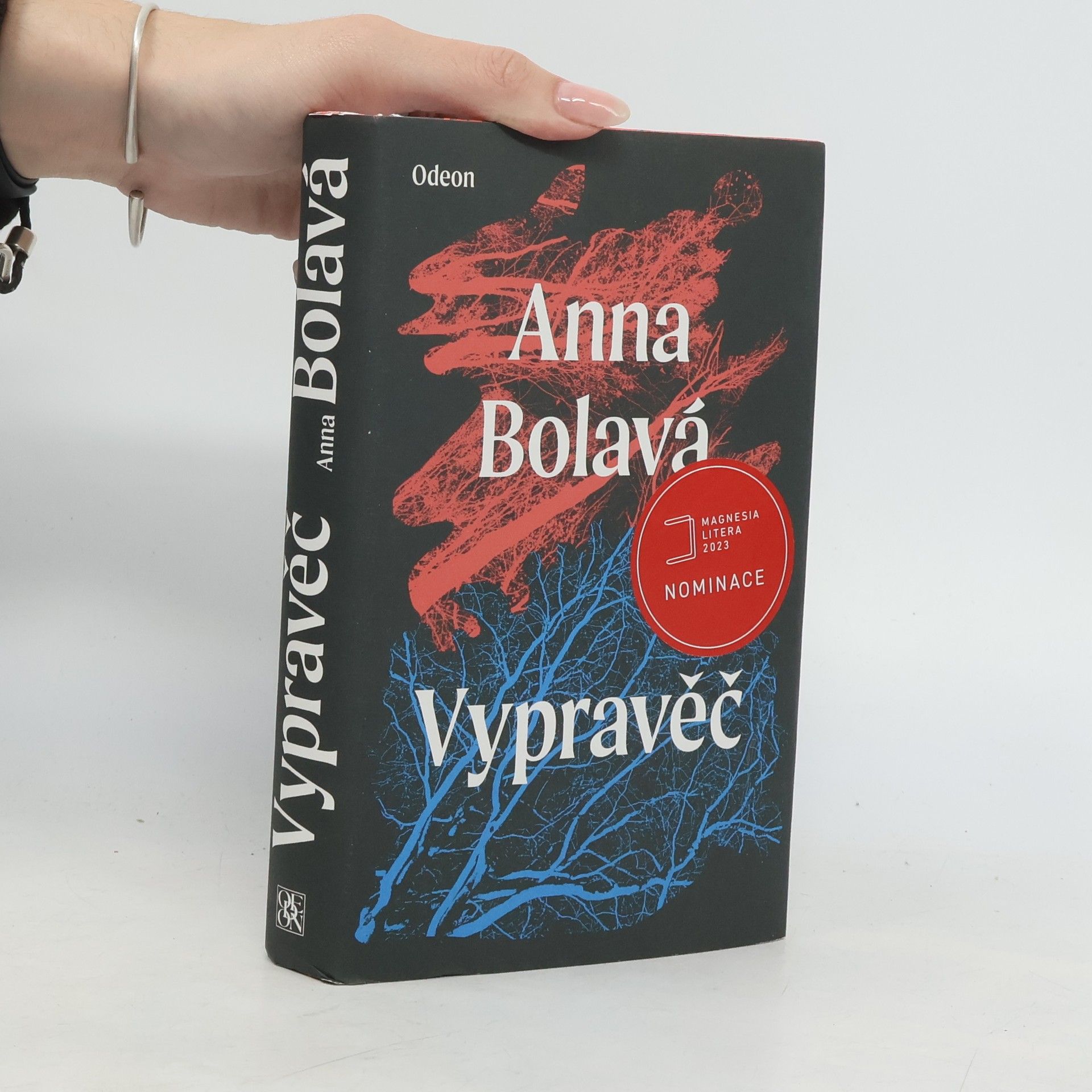 Anna Bolavá Vypravěč