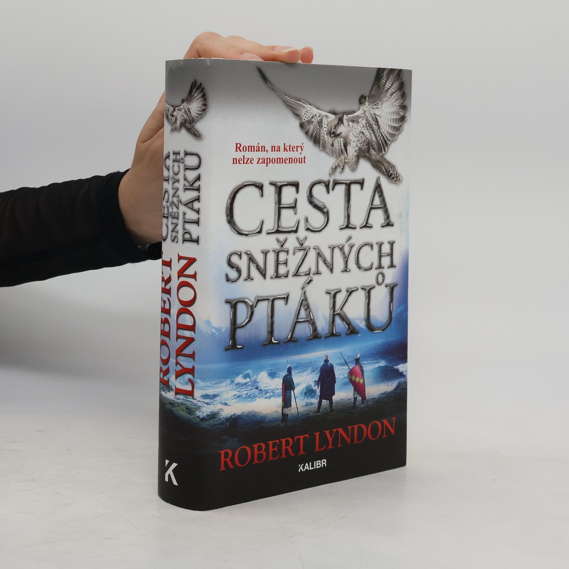 Robert Lyndon Cesta sněžných ptáků