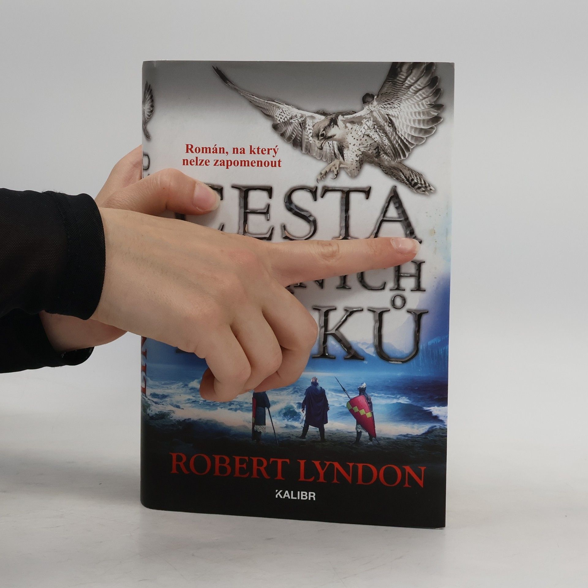 Robert Lyndon Cesta sněžných ptáků