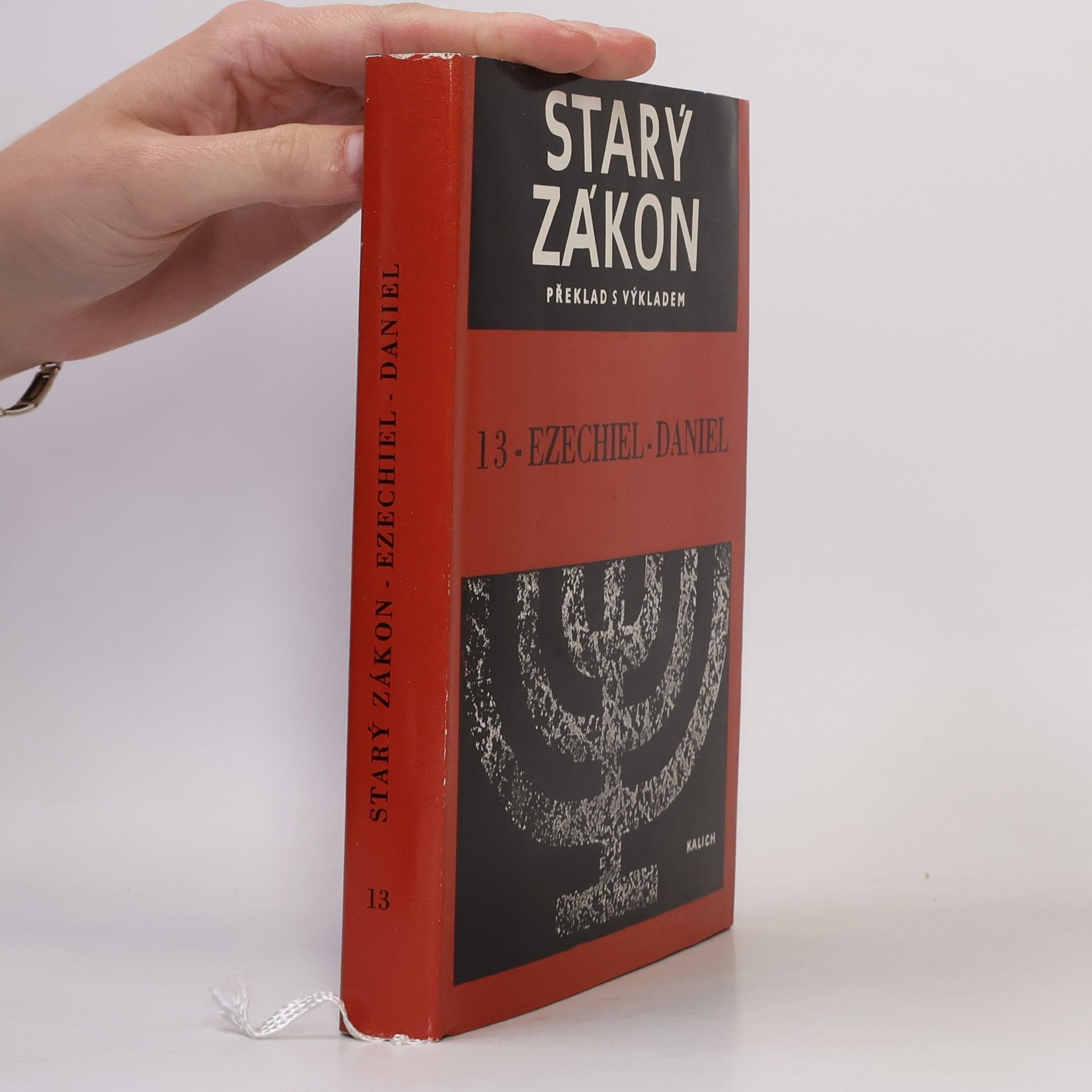Kolektiv autorů Starý zákon. Překlad s výkladem 13. Ezechiel-Daniel