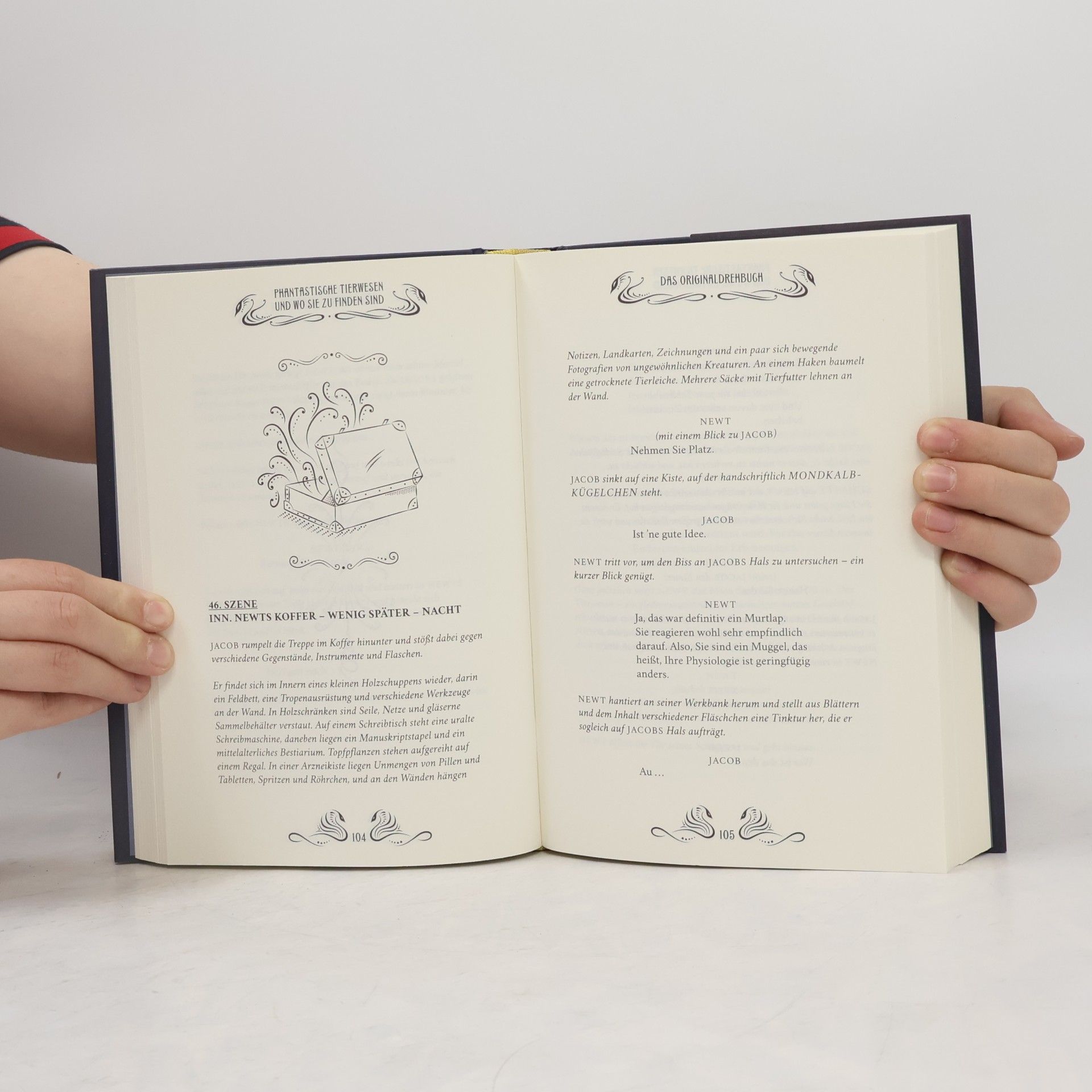 J. K. Rowling Phantastische Tierwesen und wo sie zu finden sind. Das Originaldrehbuch
